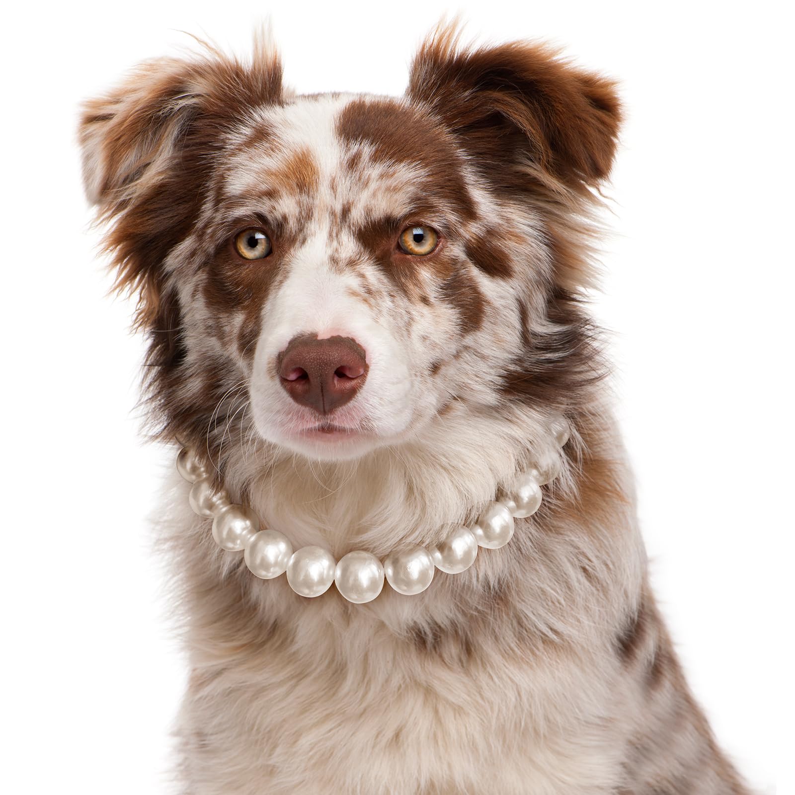 Kudes Exquisite And Adjustable Dog Necklace: Elegant Classic Pearl Collar Necklace Accessories For Dogs, Occasions And Gathering