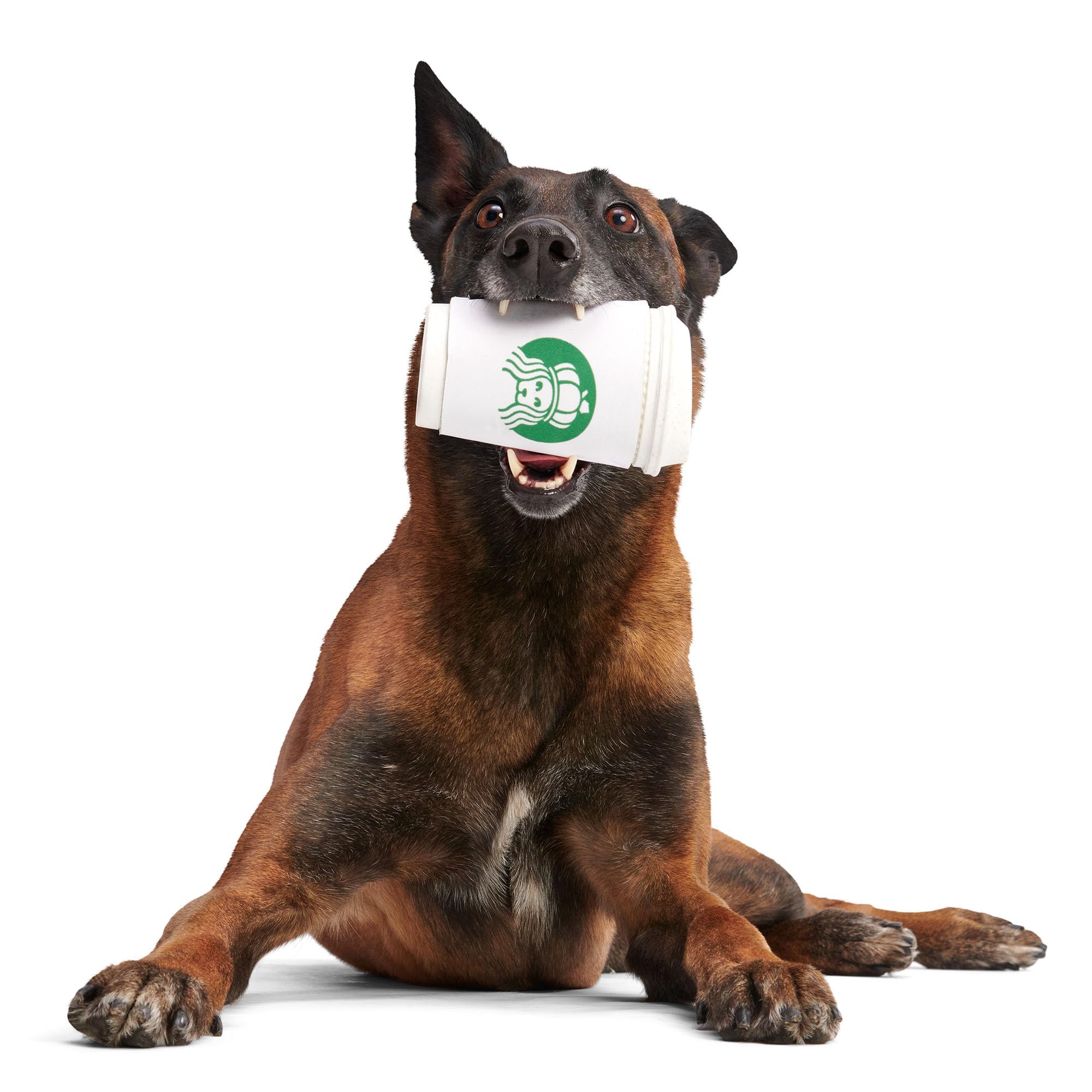 Barkbox Pupkin Spice Latte Plush Dog Toy - Plush Dog Toys - Puppy And Pet Toys For Medium To Large Dogs