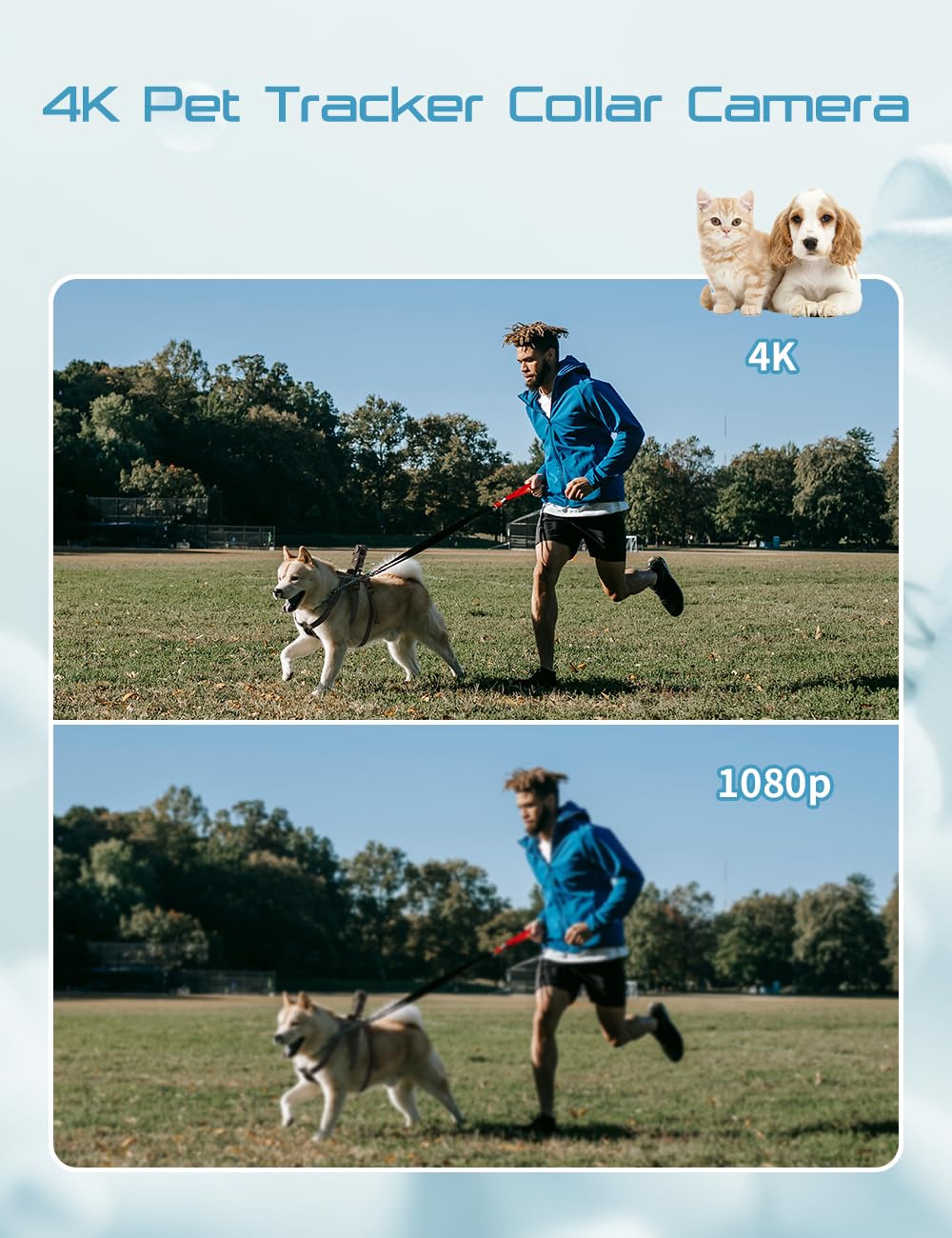 Apexcam Dog Collar Camera With 64Gb Sd Card, 4K Cat Collar Camera With Touch Screen, Dog Collar With Camera For Video Records, P