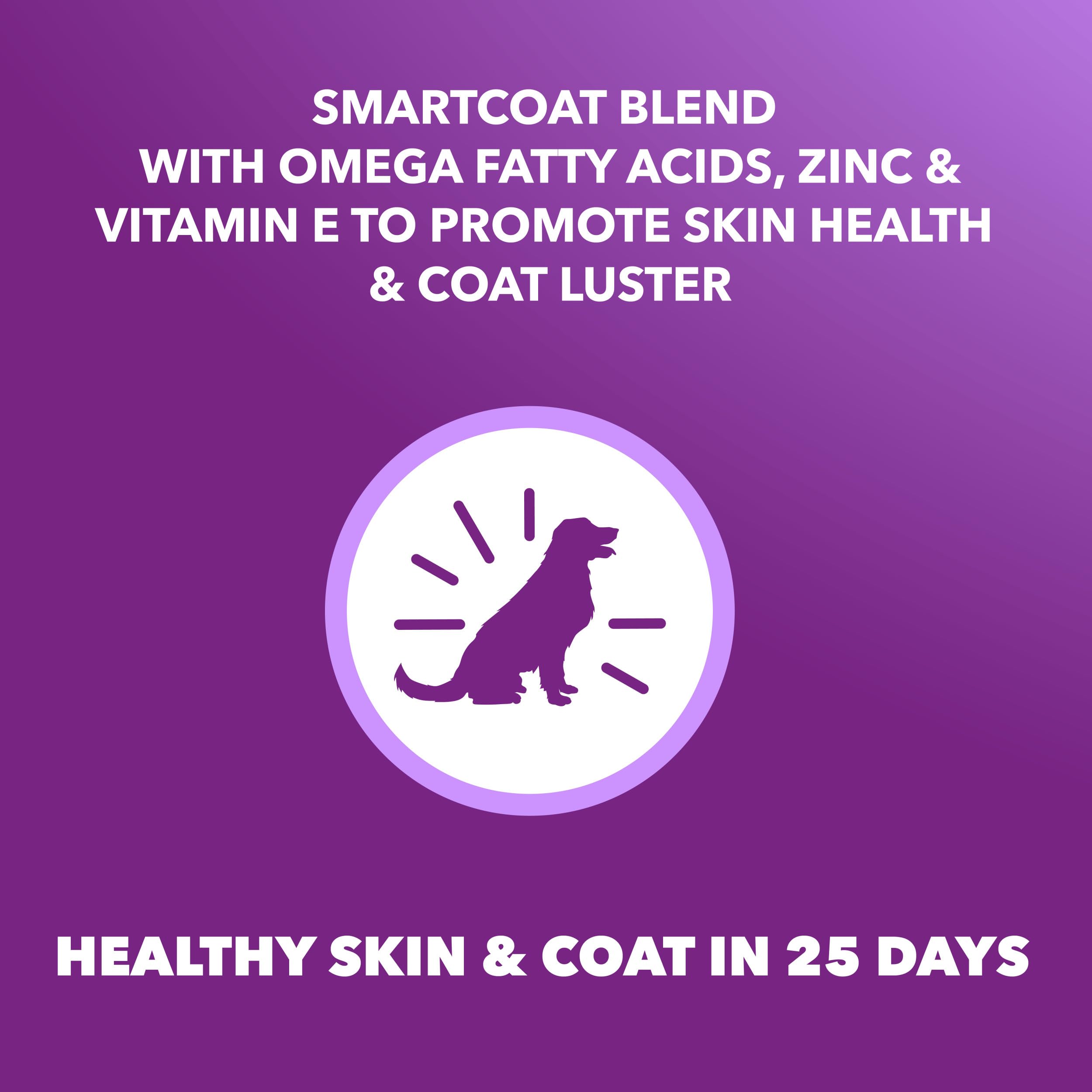 IAMS Advanced Health Skin & Coat Chicken and Salmon Recipe Adult Dry Dog Food, 13.5 lb. Bag
