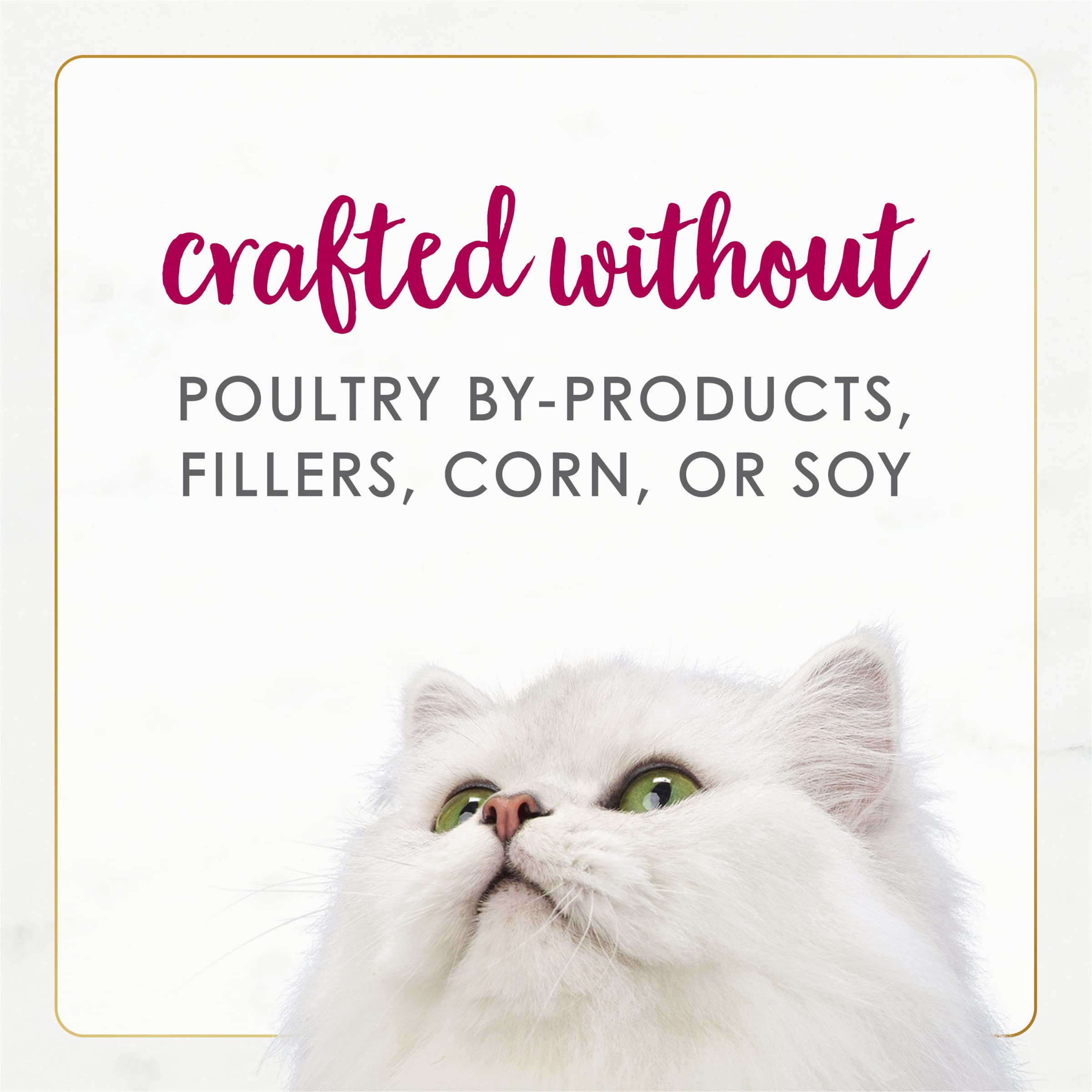 Purina Fancy Feast Wet Cat Food Natural Gourmet Naturals Natural White Meat Chicken and Beef Recipe in Wet Cat Food Gravy - (Pac