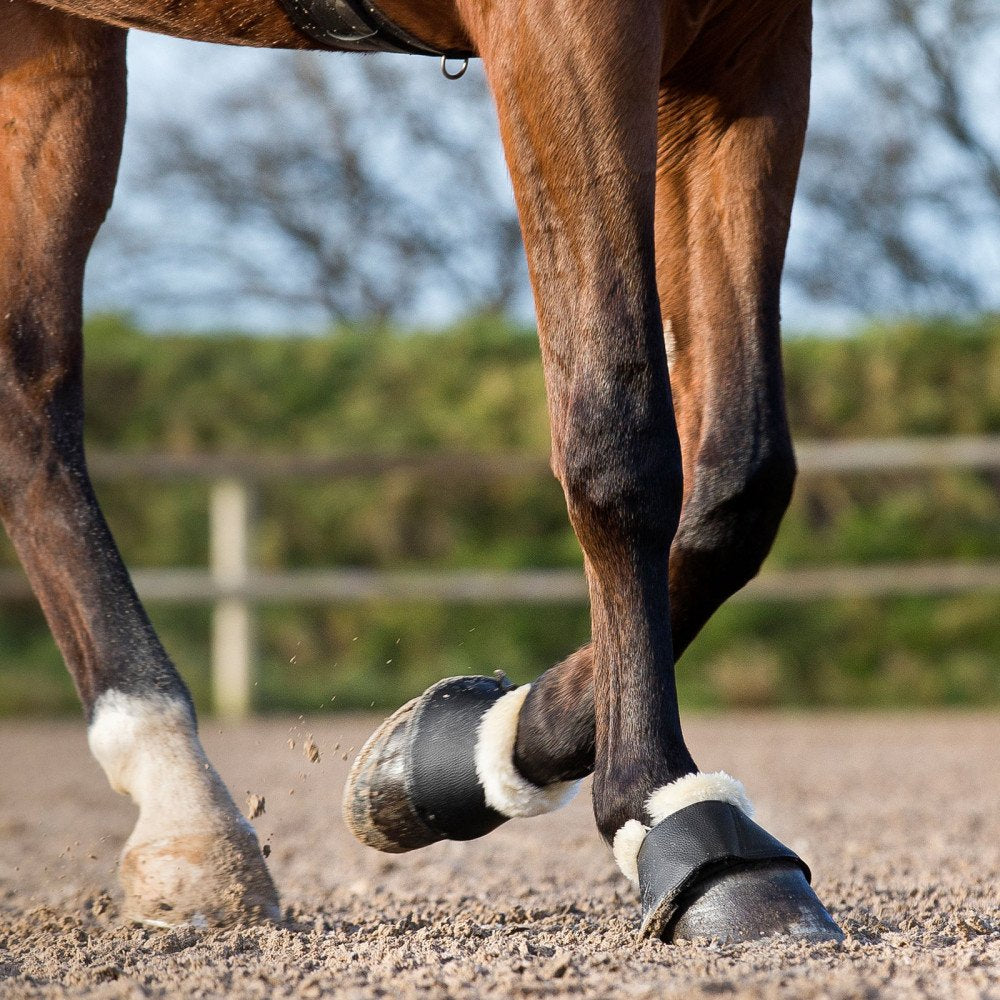 Horze Signature Bell Boots - Black - Xl