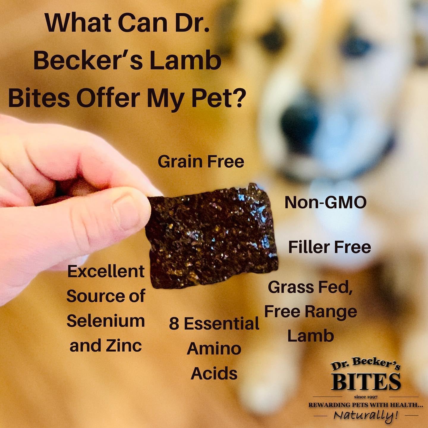 Dr. Becker's Lamb Bites - 100% Pure Meat Protein, Grain-Free Training Treats for Dogs & Cats, 5 oz