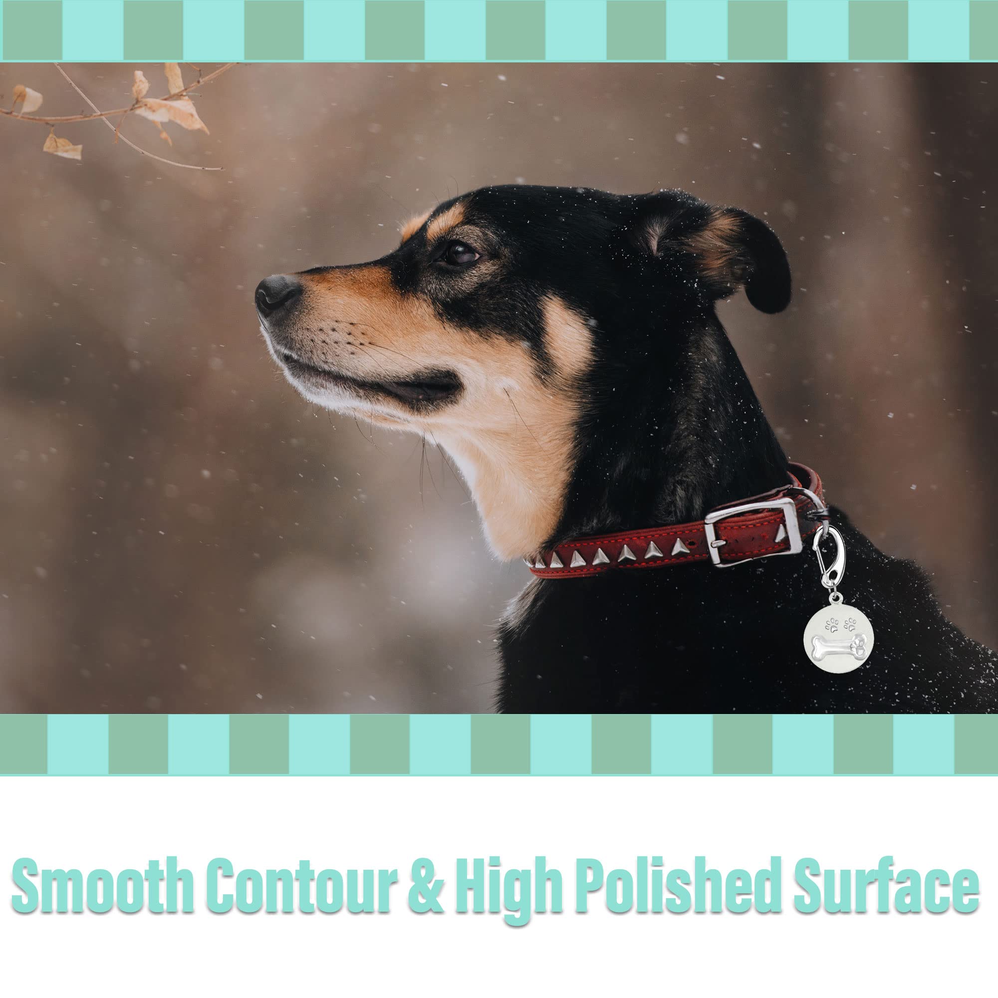 Leash King Pet Tag Quick Clip/Spring-Load Hook Combo For Pet Id Tags - 2 Large