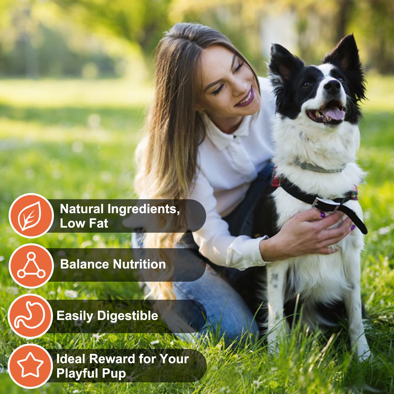 MON2SUN Chicken Jerky Dog Treats Made with Chicken Breast, High Protein & Grain Free, Training Treats for Small to Large Dogs (1