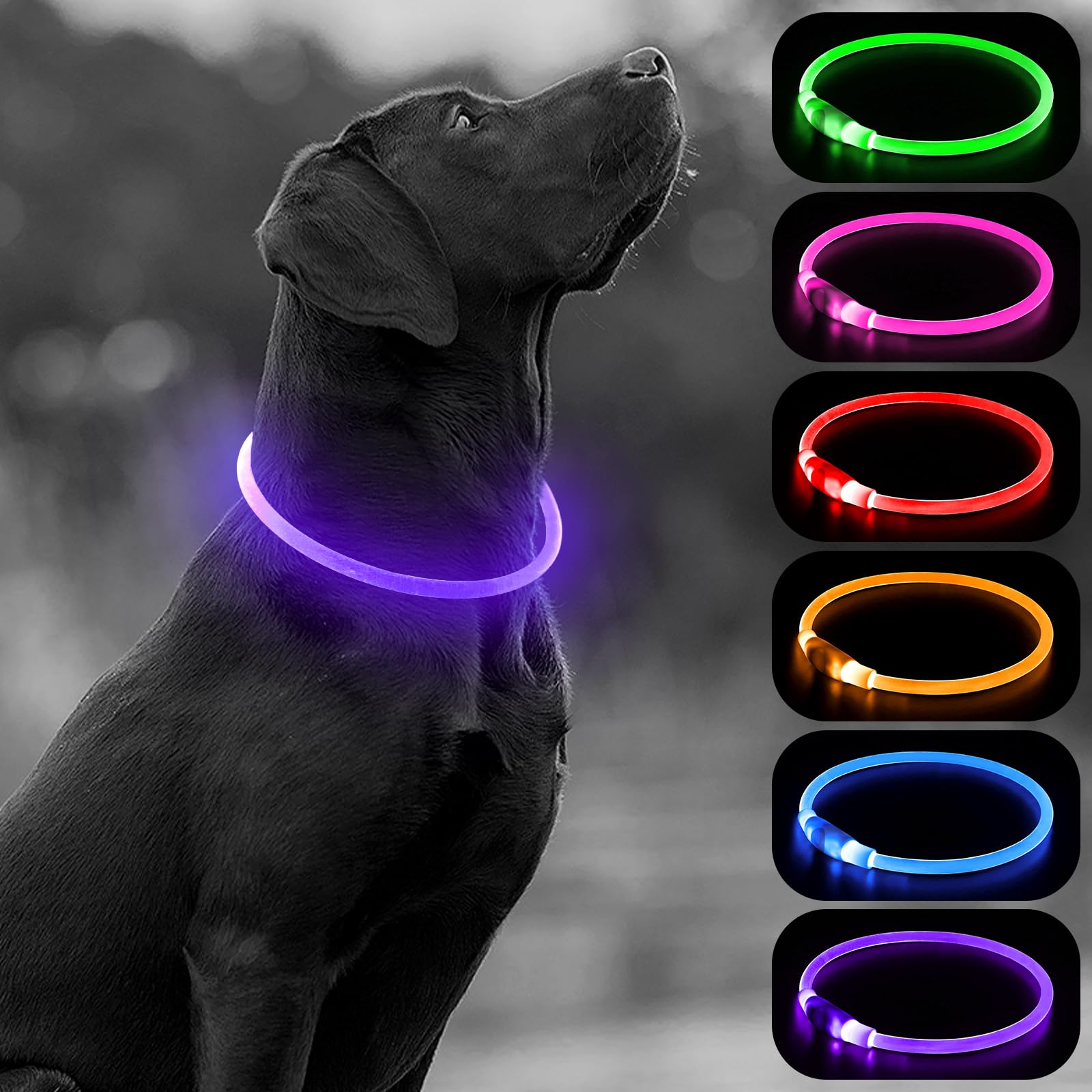 Higo Light Up Dog Collar, Led Dog Collar For Night Safety With 3 Modes, Type-C Rechargeable & Adjustable Tpu Material For Small 
