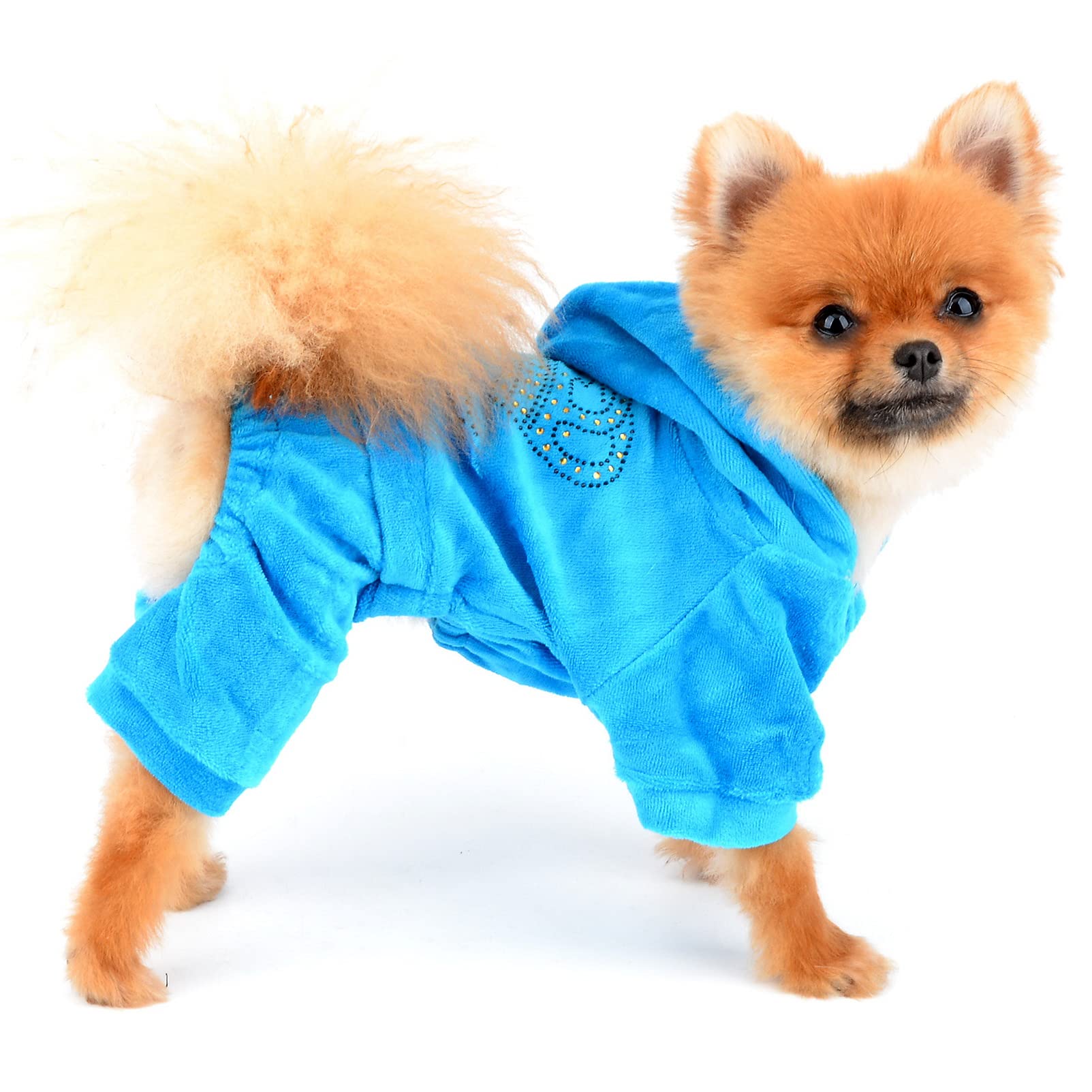Smalllee_Lucky_Store Pet Clothes For Small Dog Cat Soft Velvet Crown Jumpsuit Coat Hooide Pajamas Tracksuit Blue Xl