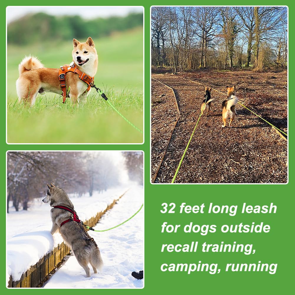 Vivifying Floating Long Dog Leash, 32Ft Dog Training Leash For Swimming And Lake, Reflective Long Rope Lead With Soft Handle For Outside, Yard, Camping, Hiking And Beach (Green)