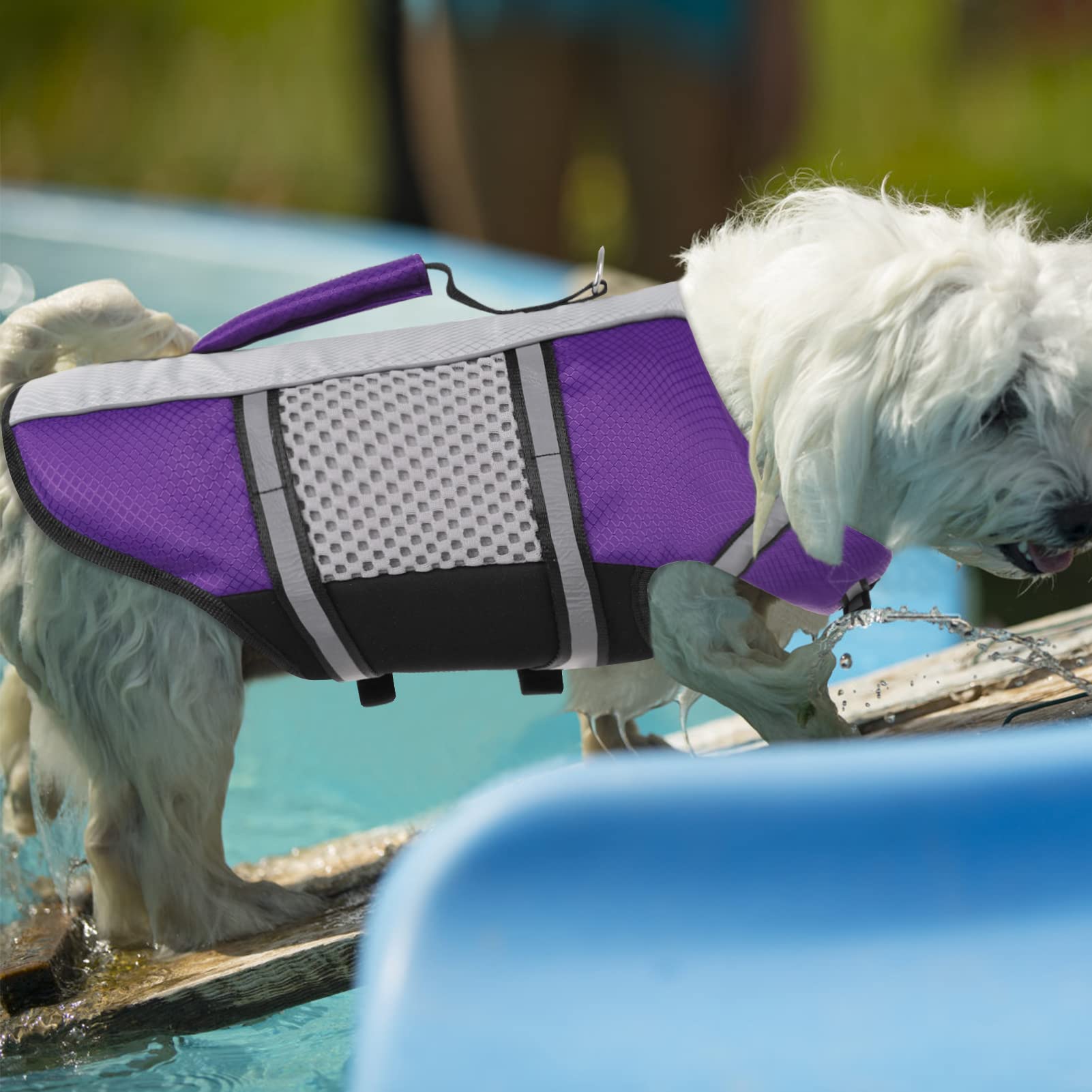 Dog Life Jacket Swimming Vest Lightweight High Reflective Pet Lifesaver With Lift Handle, Leash Ring Purple,S