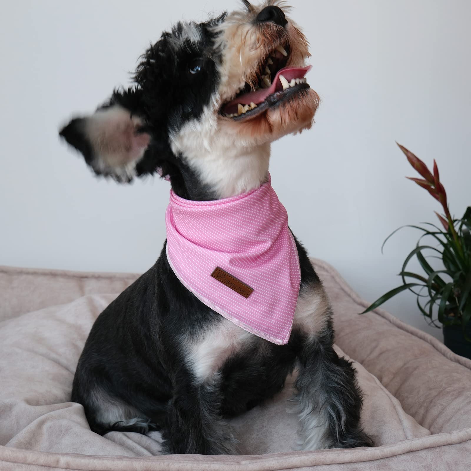 Up Urara Pup Dog Bandana, Comfortable Cotton Triangle Bid Scarf For Puppy Small Dog, Washable Pet Kerchief For Girl Female Dogs