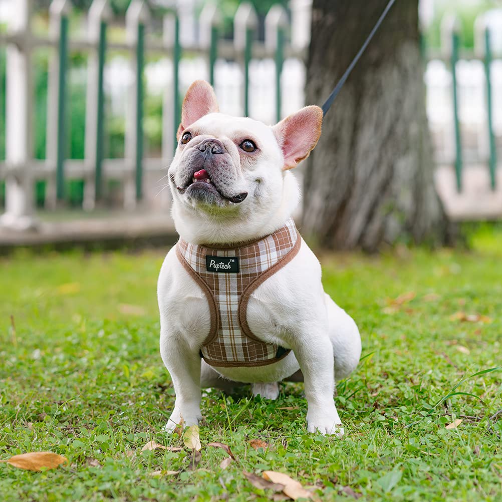 Pupteck Soft Mesh Dog Harness And Leash Set Pet Puppy Cat Comfort Padded Vest No Pull Harnesses, Brown, M