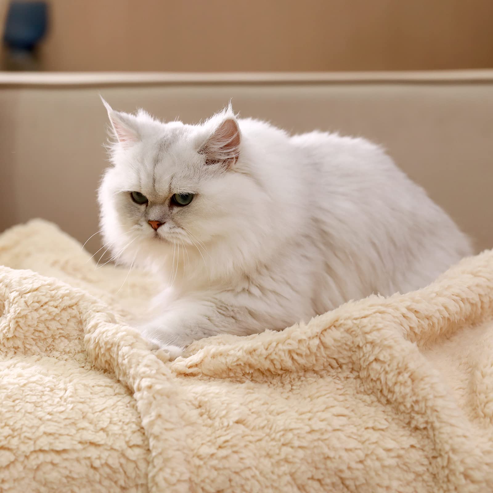 1 Pack 3 Calming Blankets Fluffy Premium Fleece Pet Blanket Soft Sherpa Throw For Dog Puppy Cat Beige Large (41'' X31'')