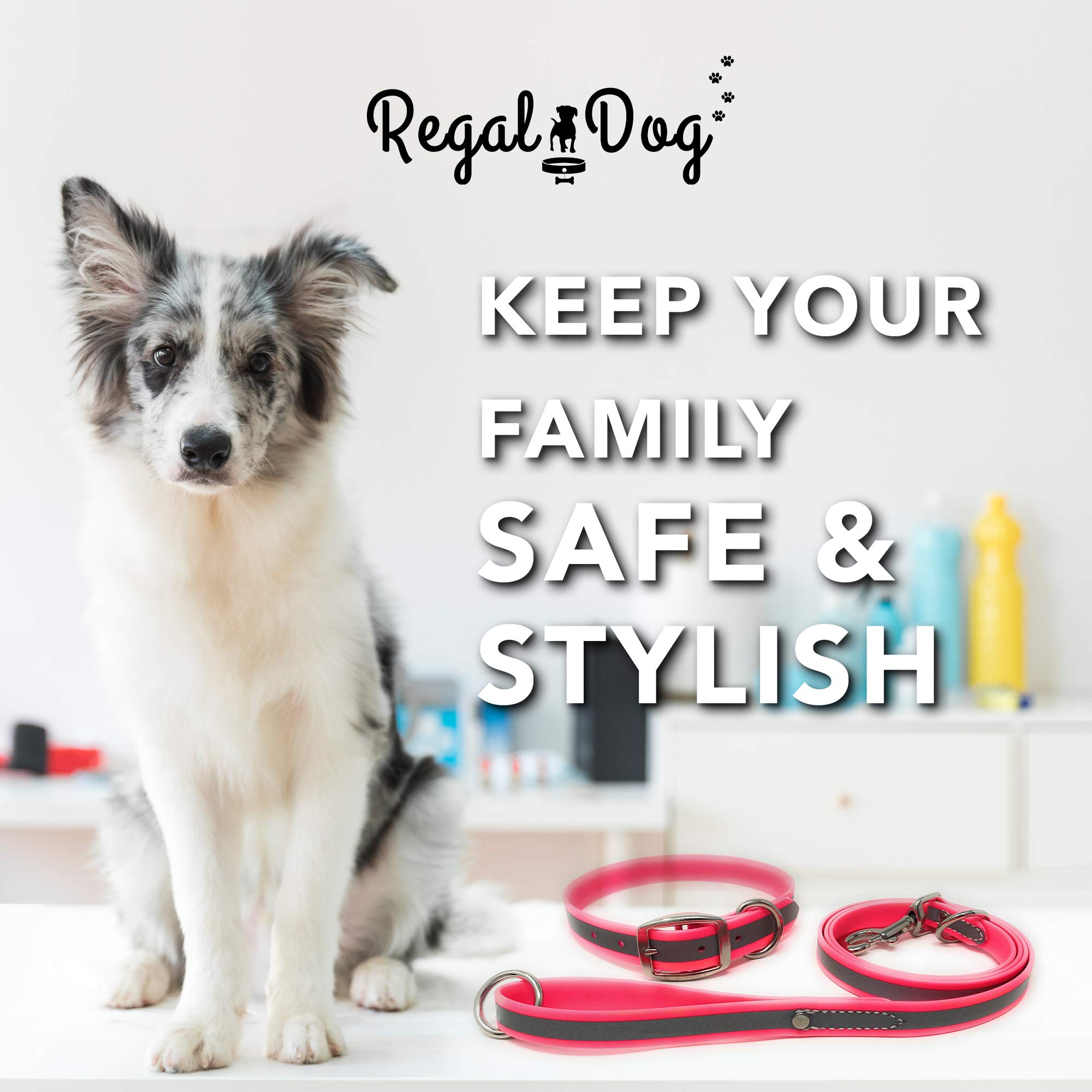 Regal Dog Products Medium Pink Reflective Dog Collar And Leash Set - Waterproof Biothane Dog Collar With Heavy Duty Double Buckl
