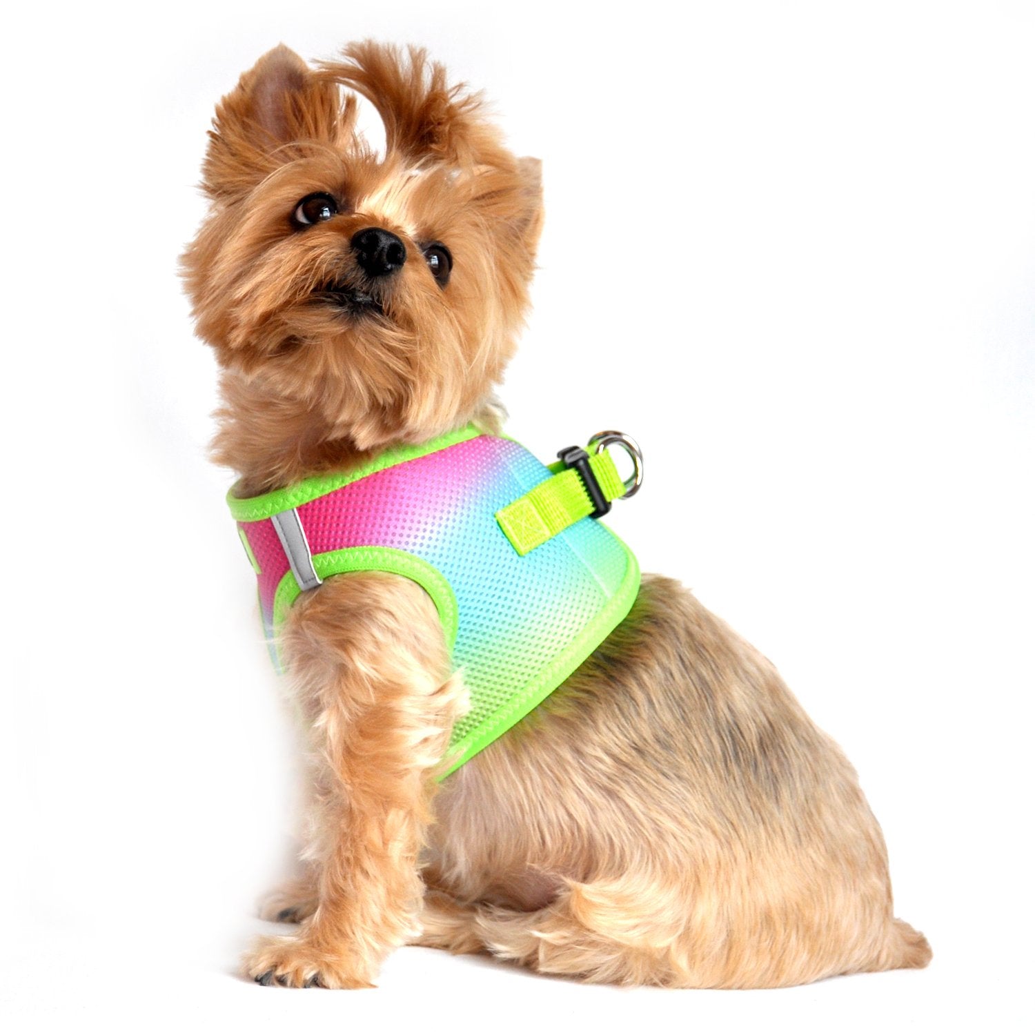 American River Dog Harness Ombre Collection - Rainbow M