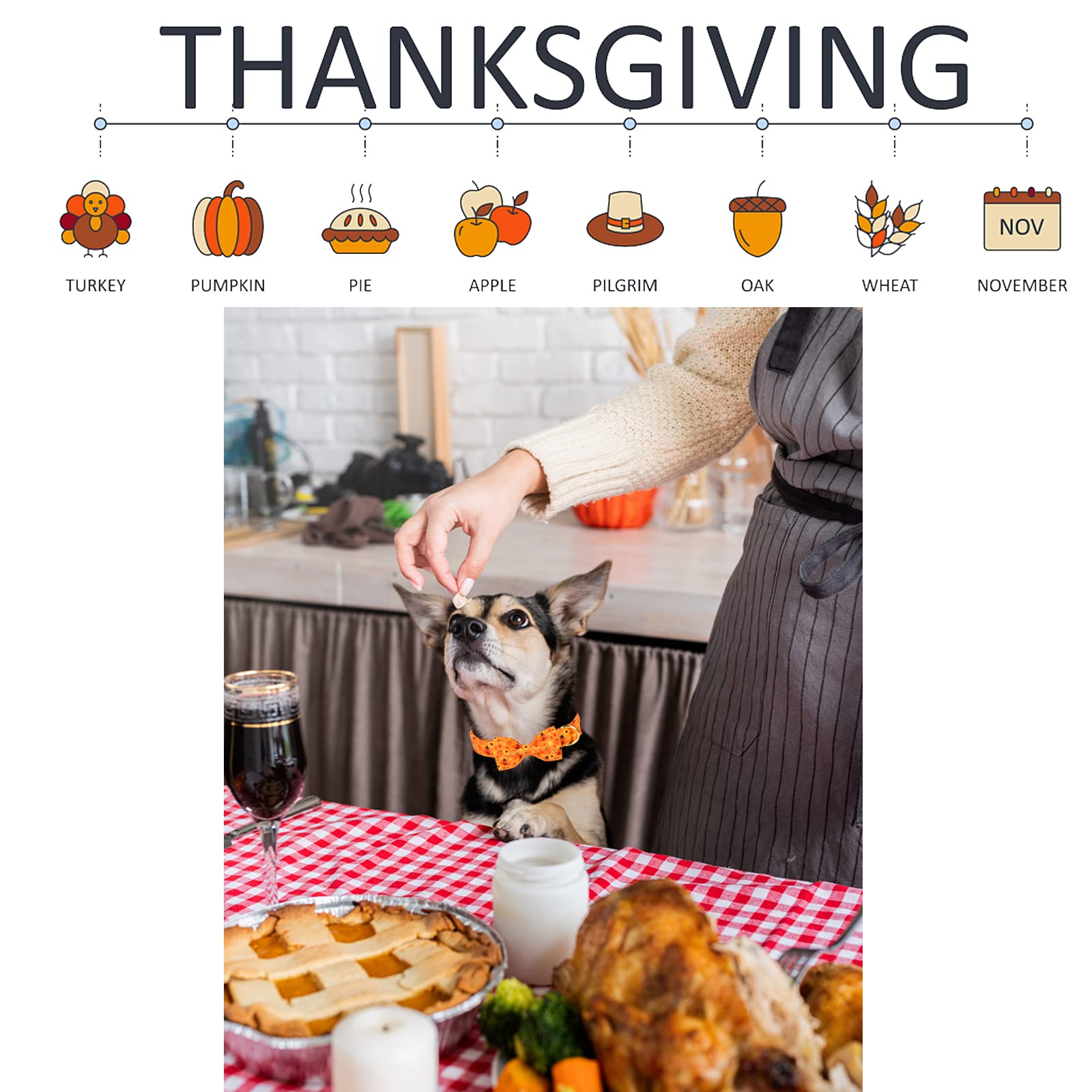 Unique Style Paws Halloween& Dog Collar With Bow Tie Pumpkin Cotton Collar Adjustable Puppy Collar Best Thanksgiving Gift For Small Medium Large Dogs-Turkey & Pumpkin Theme-Xl