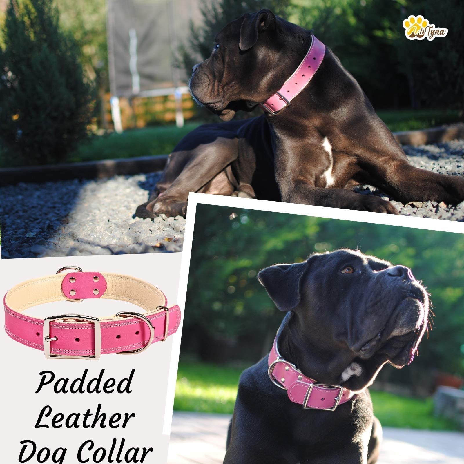 Adityna Heavy Duty Real Leather Dog Collar For Large Dogs - Pink Large Dog Collar - Soft And Strong Thick Dog Collar With Double Metal Buckle