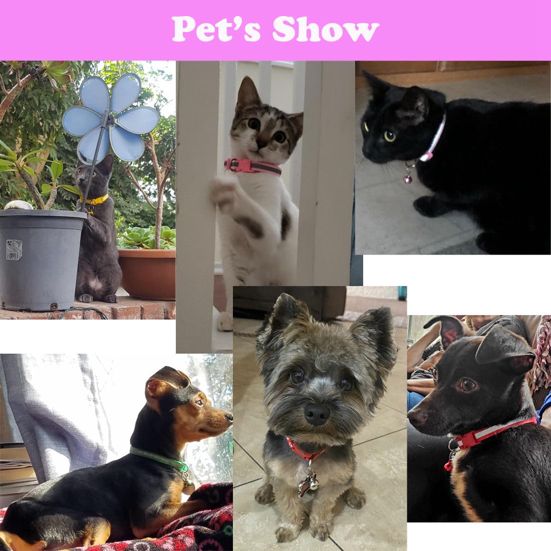 Orange Bell Collar For Small Dogs, 2-Pack Basic & Reflective Male Puppy Collar With Bells For Xxs Xs Small Pet Boy Dogs Tiny Cat