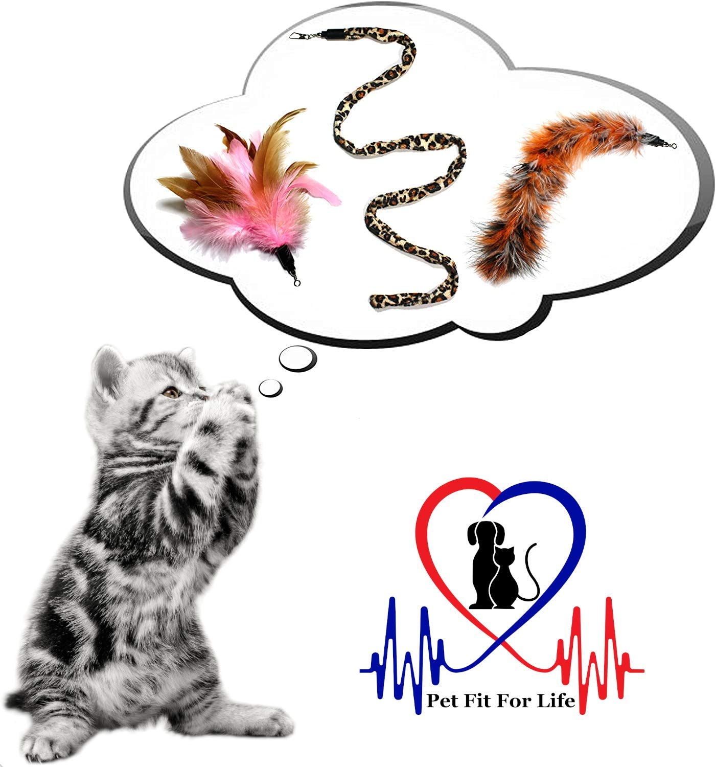 Pet Fit For Life 3 Piece Dual Rod Feather Teaser and Exerciser with a Slithering Snake for Cat and Kitten - Cat Toy Interactive