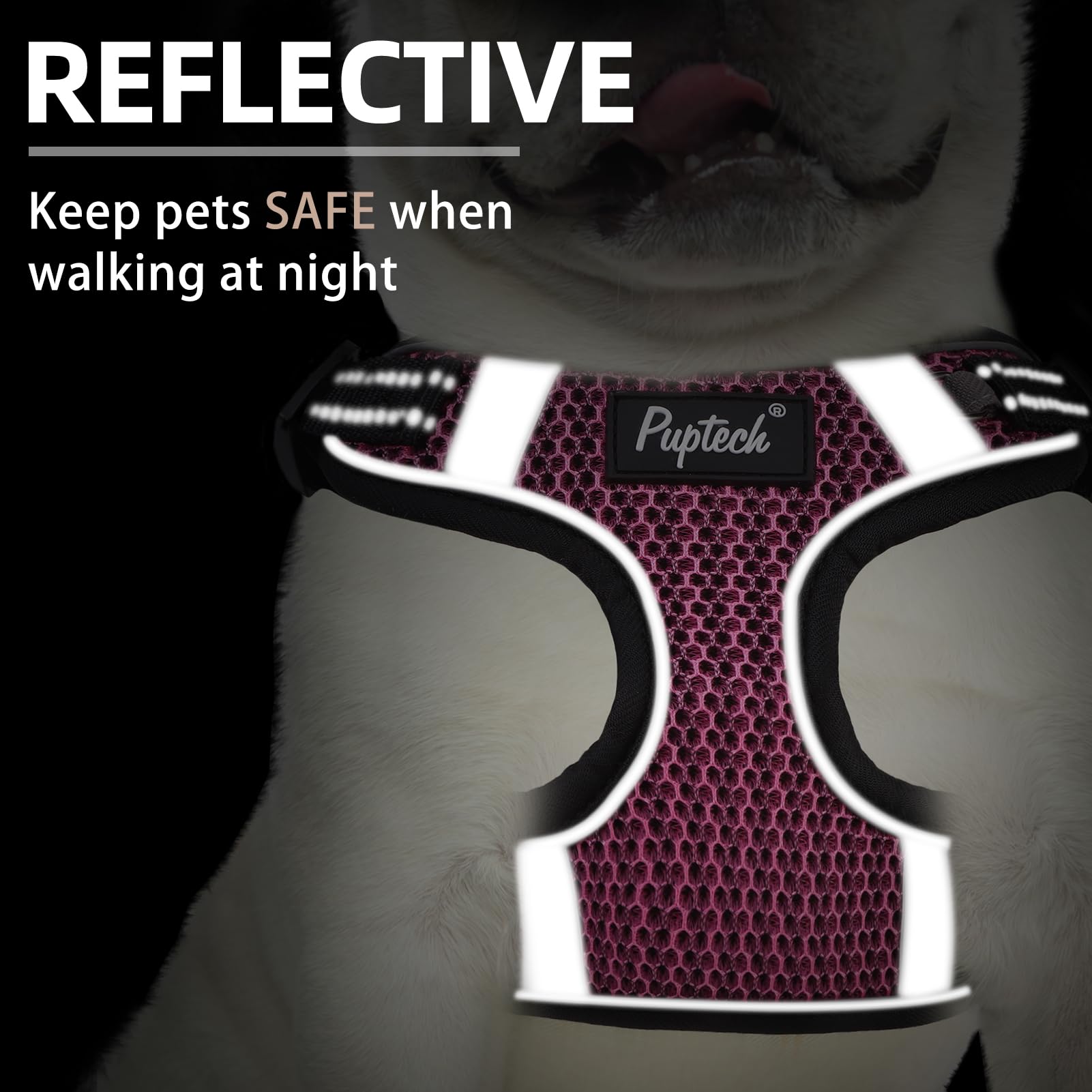 PUPTECK No Pull Dog Harness and Leash Set Reflective No Choke Step in Puppy Halter for XS Small and Medium Sized Dogs, HotPink,
