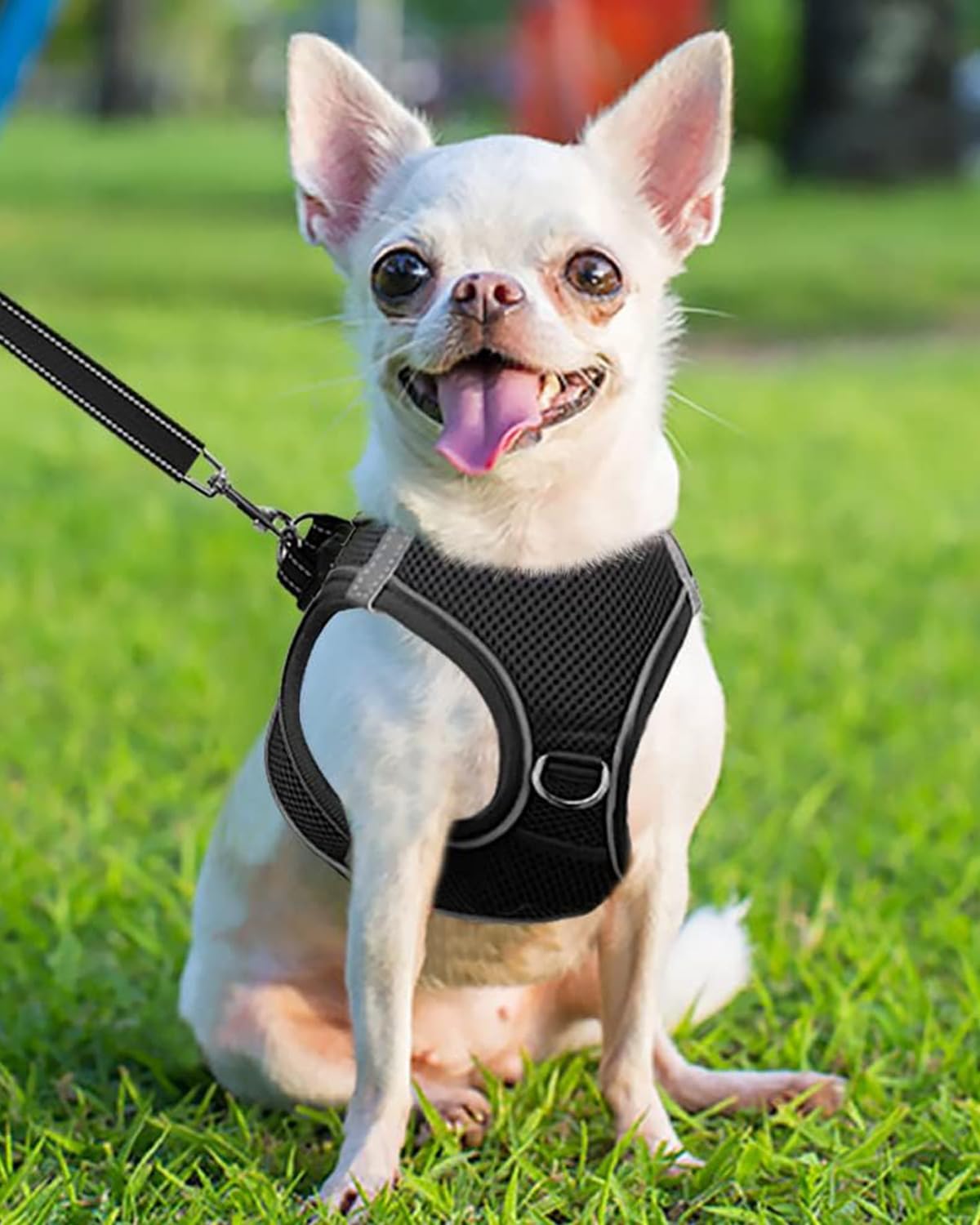 Joytale Small Dog Harness, Breathable Mesh Step-In Vest, Reflective Soft Padded Harnesses For Puppies And Extra Small Dogs, Blac