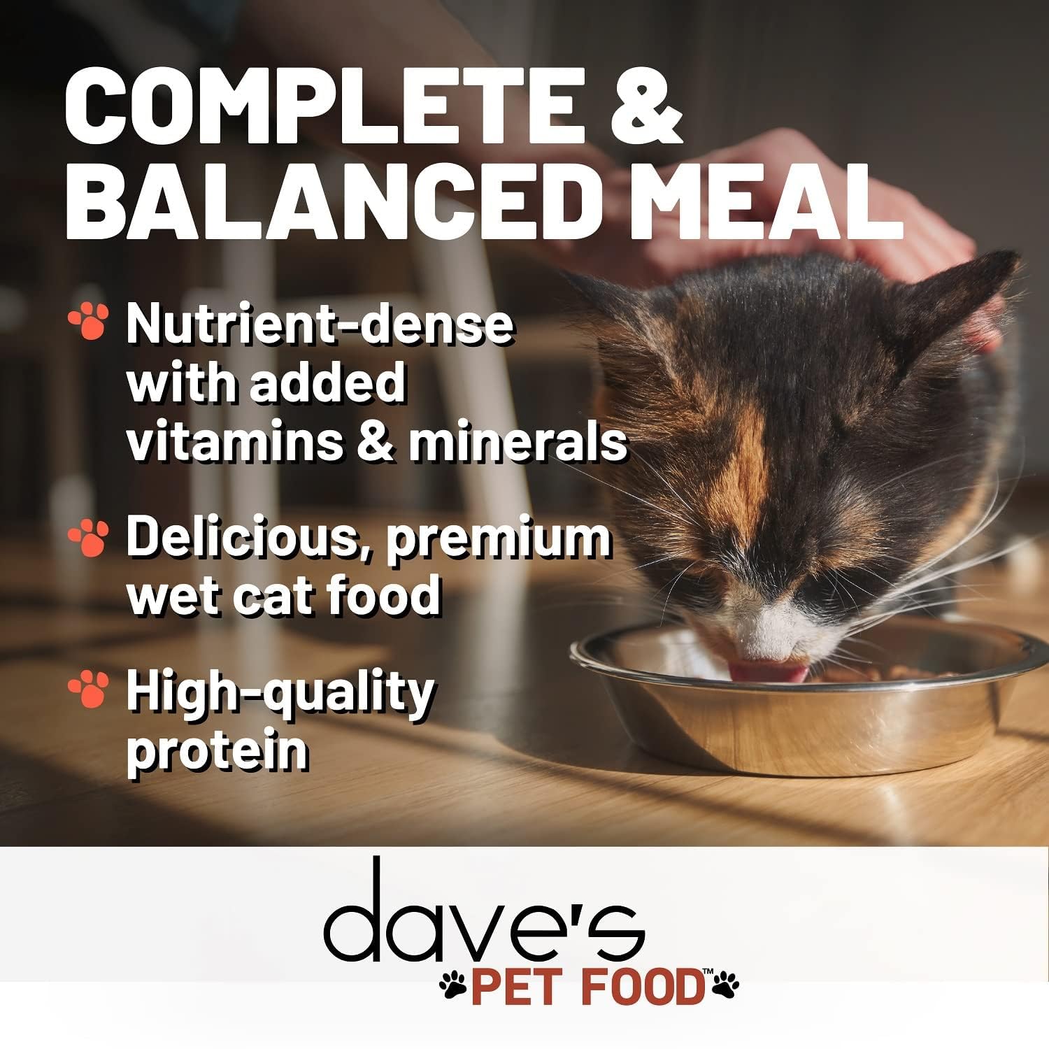 Dave's Pet Food Grain Free Wet Cat Food, Shredded Chicken in Gravy, 5.5oz (24 Pack), Wheat & Gluten-Free, GMO-Free, Made in Canada