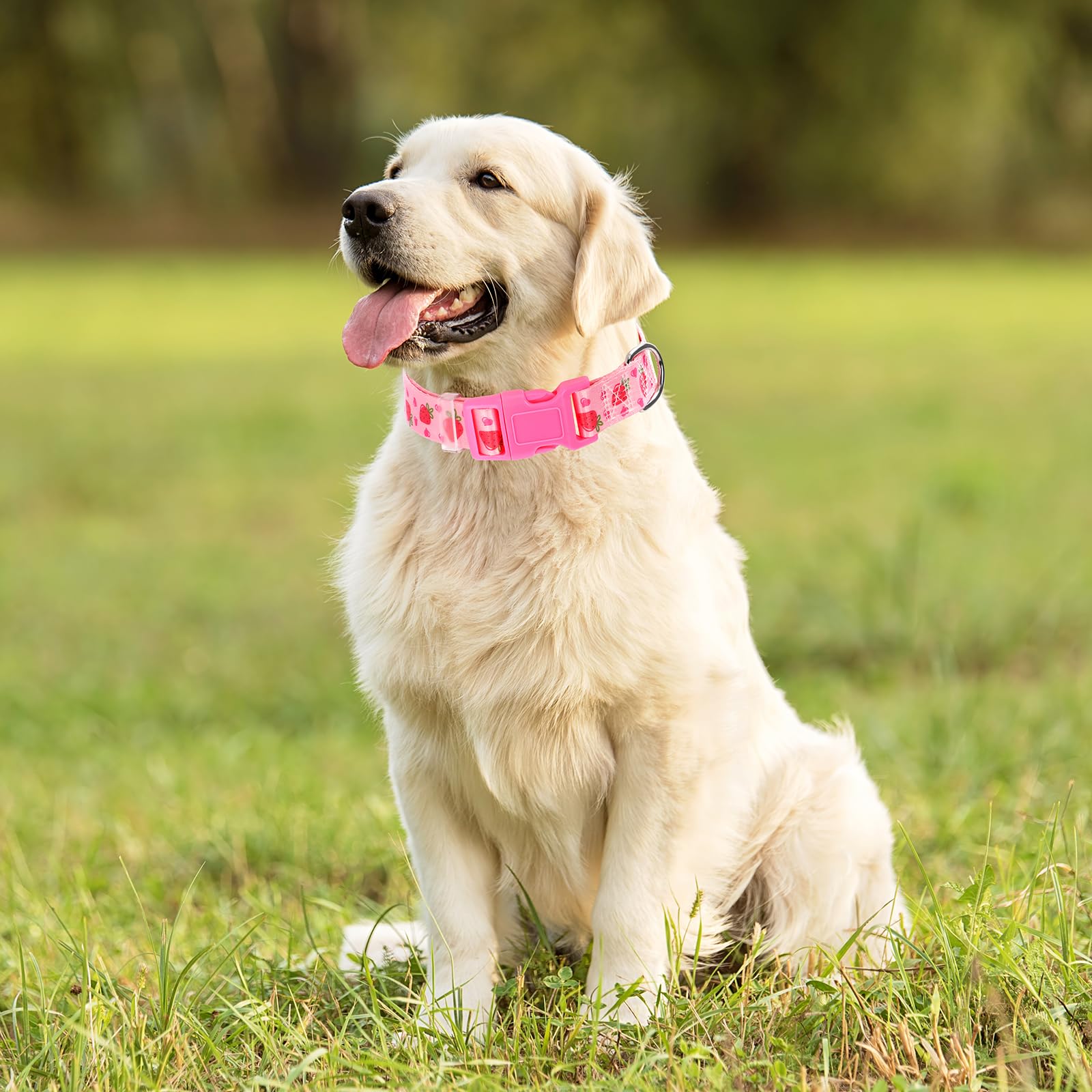 Onefojojo Dog Collar - Cute Pink Strawberry Design, Soft Nylon Adjustable Collar For Medium Dogs, Quick-Release Buckle, Durable