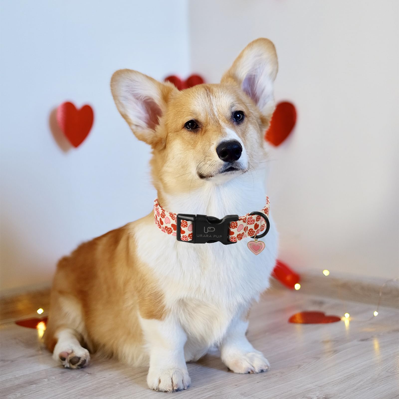 Up Urara Pup Valentines Dog Collar, Red Heart Dog Collar With Quick Release, Sweet Valentines Gift Pet Girl Boy Dog Collar For P