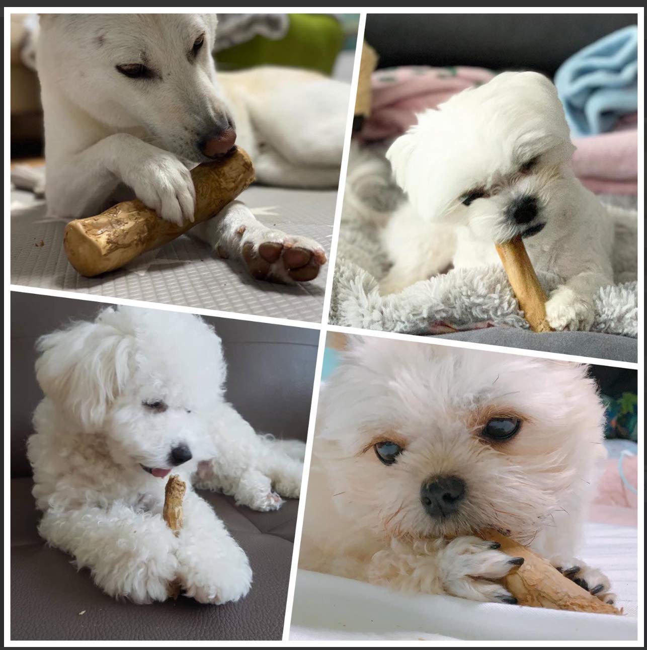 Pet Full House WoofWood Dog Chew Sticks