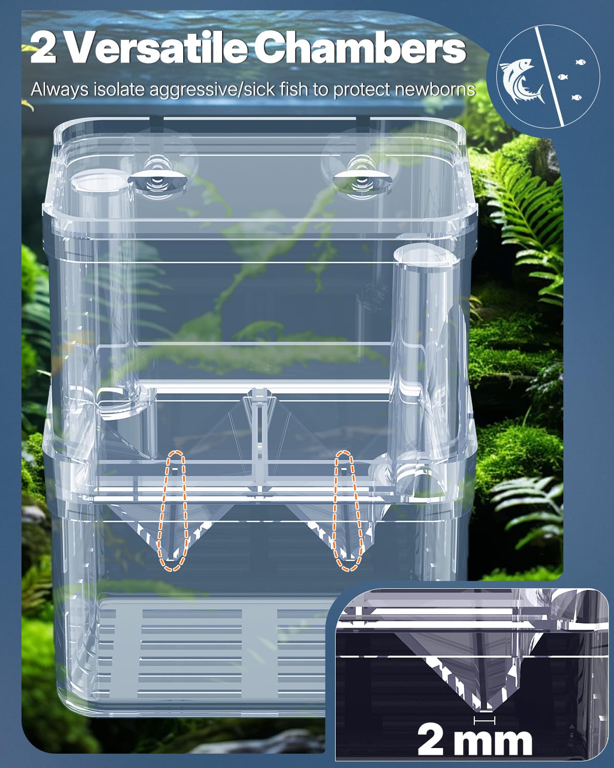 Pawfly Aquarium Breeding Box - Transparent Plastic Breeder Box For Fish Tank, Fry Hatchery Incubator For Baby Fish, Shrimp, Bett