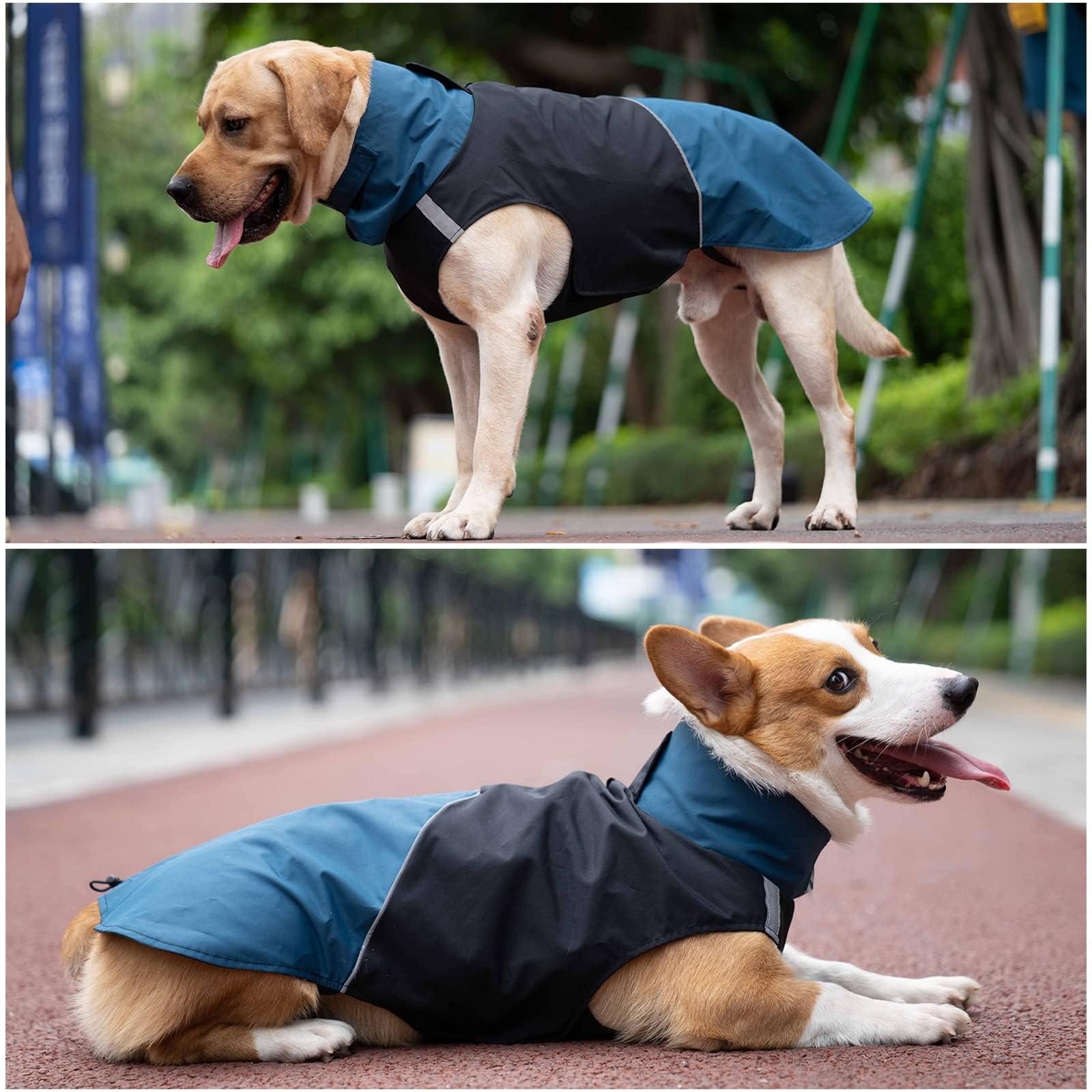 Dog Warm Coats - Windproof Dog Winter Outdoor Jackets Cold Weather Coats For Dog Waterproof Dog Raincoats With Hole For Dog Leash,Black Blue M