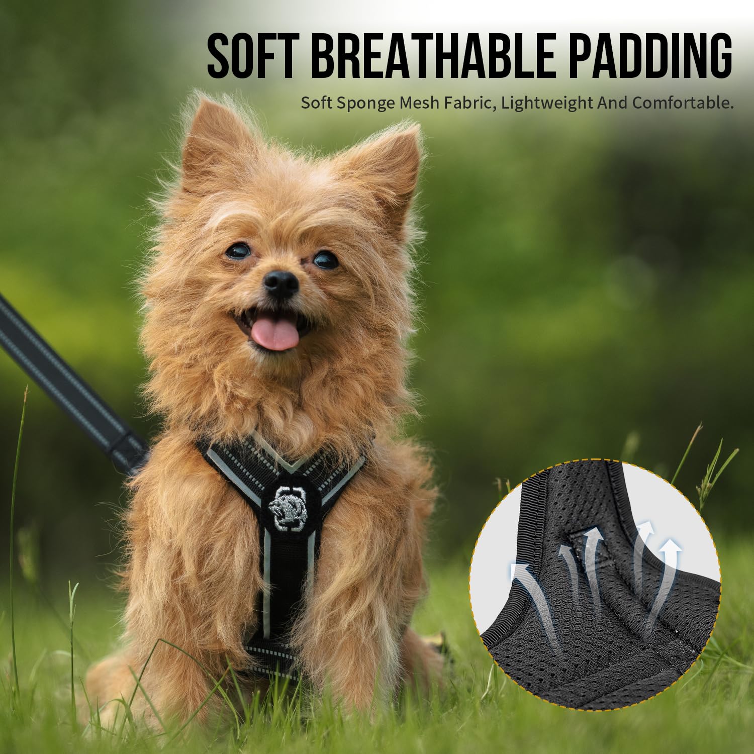 Onetigris Dog Harness And Leash Set, No Pull Soft Mesh Pet Harness, Reflective Adjustable Puppy Vest For Antz Small Medium Large
