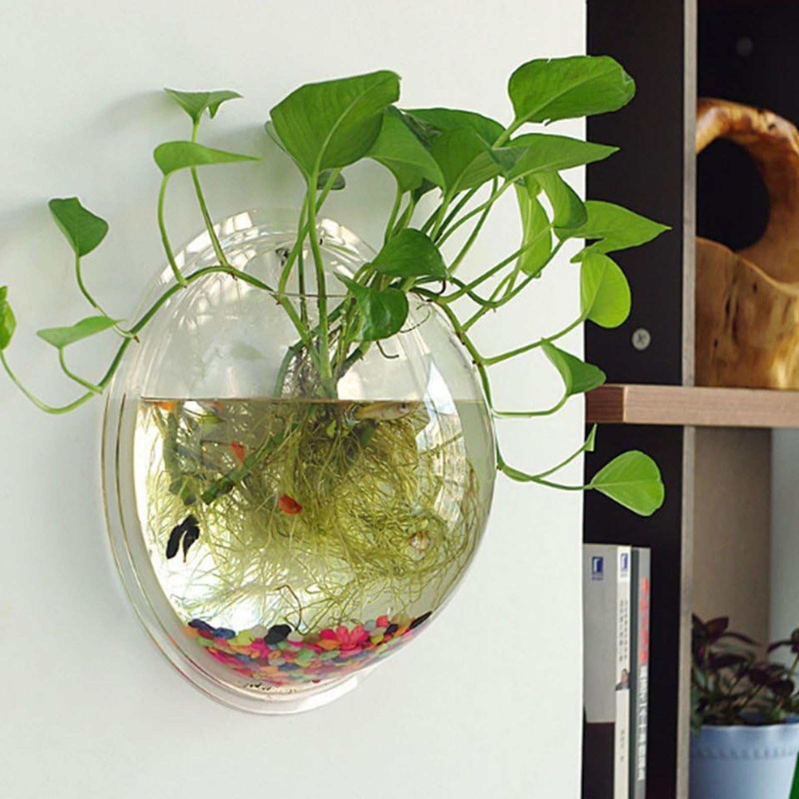 Acjryo 2Pack Wall Hanging Fish Tank,Mounted Fish Bowl Betta Tank Fish Plant Tanks Hanging Fish Bowl Plant Vase Home Decoration Pot