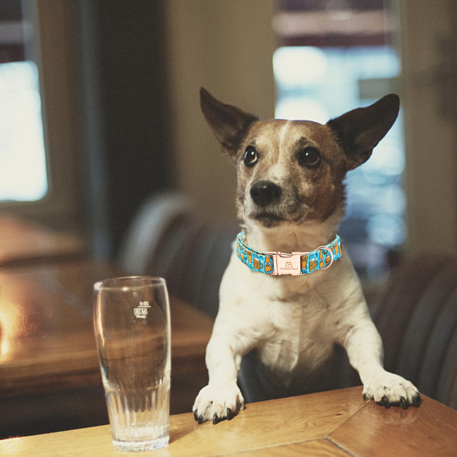 Lionheart Glory Blue Summer Party Collar - Soft, Durable, Adjustable For Medium Dogs