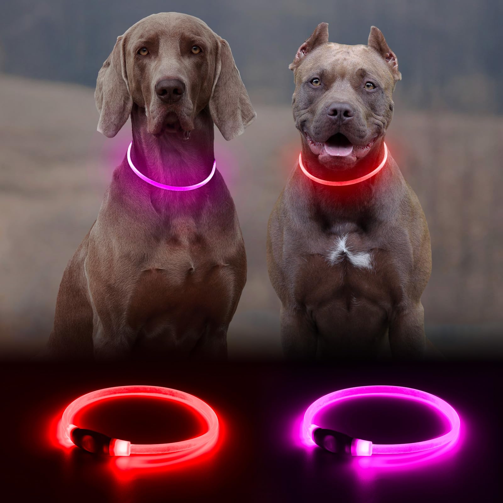 2 Packs Light Up Dog Collar, Led Dog Collar, Usb Rechargeable Dog Lights For Night Walking, Adjustable Glow In The Dark Collars