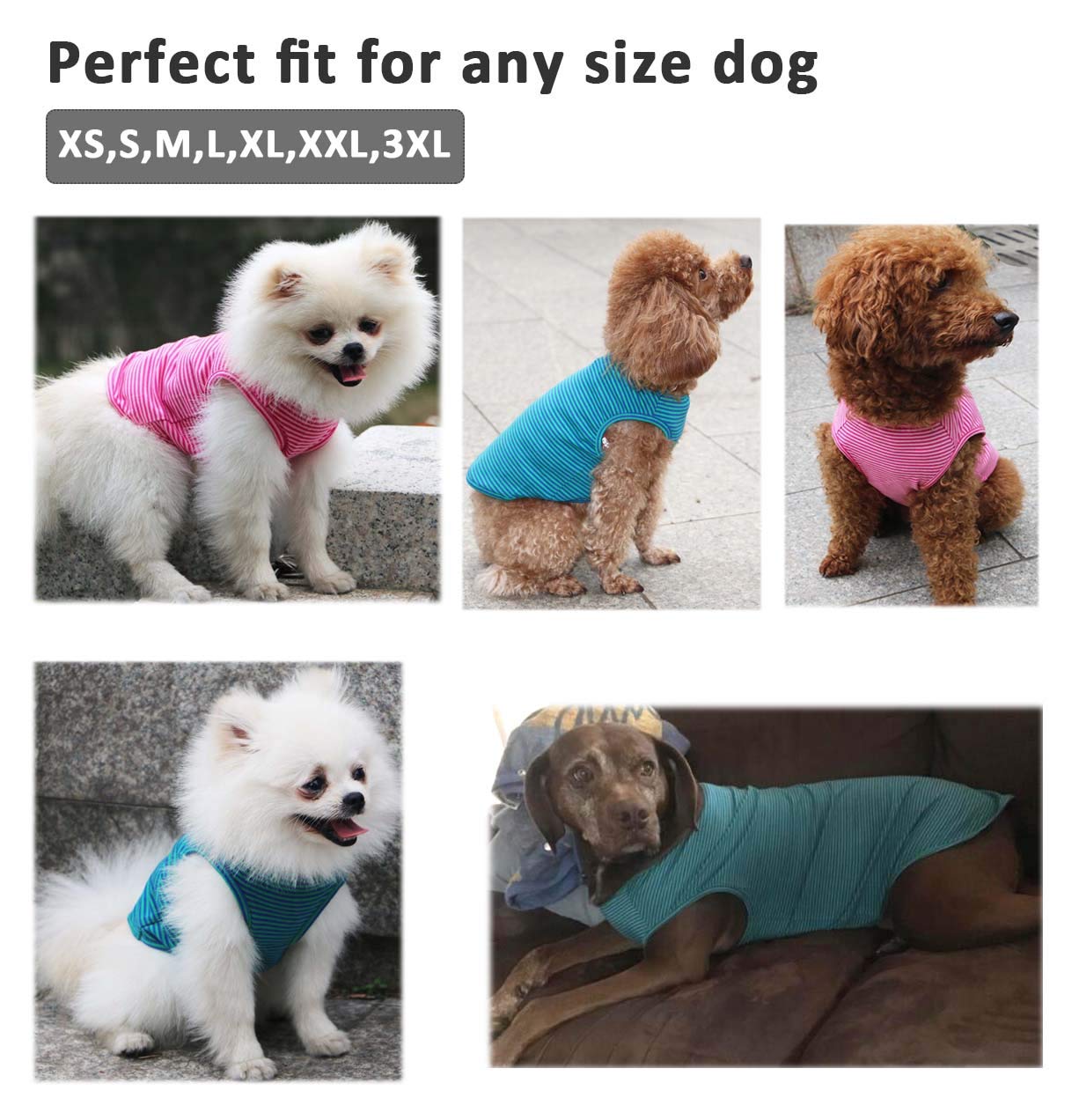 Weone Dog Summer T-Shirts Striped Cotton Shirt,Pet Breathable Soft Basic Clothes For Small Medium Larg Boy Girl Dogs,3Xl