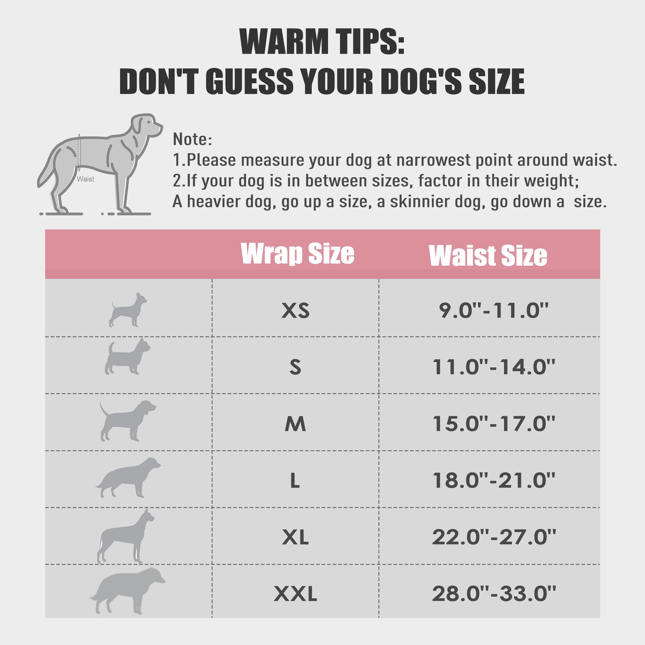 Wegreeco Washable Male Dog Belly Band (Stylish Pattern)- Pack Of 3 - Washable Male Dog Belly Wrap, Dog Diapers Male (Tie-Dye, Sky, Medium)