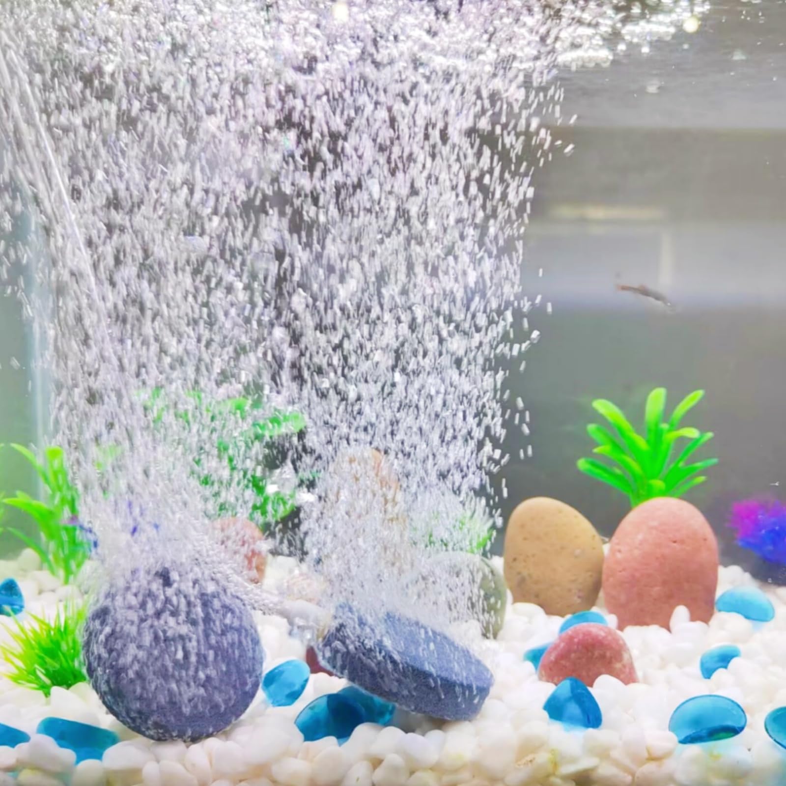 Aquaneat 1.5 Inch Air Stone Disc, 4 Packs, Aerator Bubble Diffuser, Air Pump Accessories For Hydroponics, Aquarium Fish Tank, Po