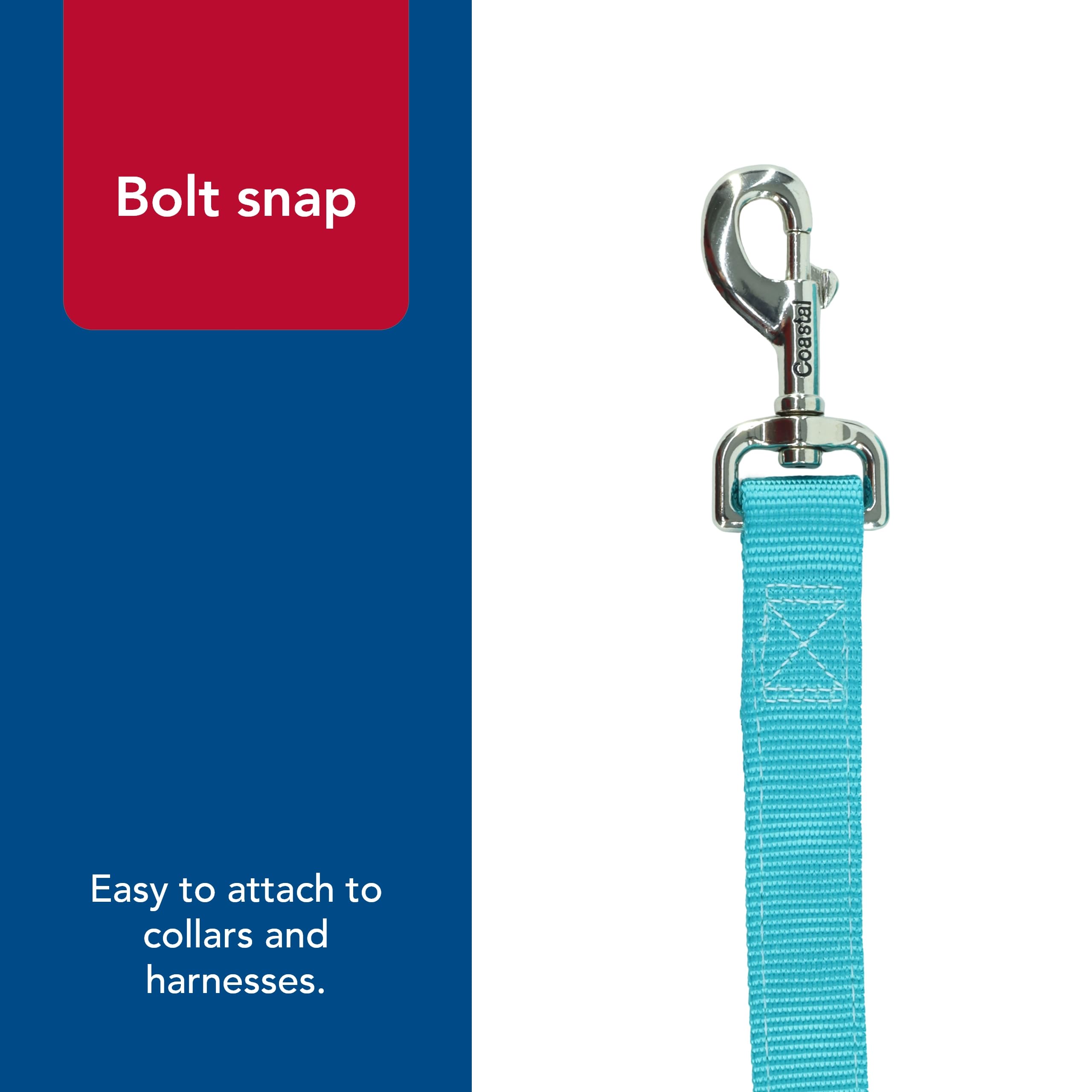 Coastal Pet Double-Ply Dog Leash - Bolt Snap Attachment To Collars And Harnesses - Nylon Dog Walking Leash For Small, Medium And Large Dogs - Teal - 1' X 6'