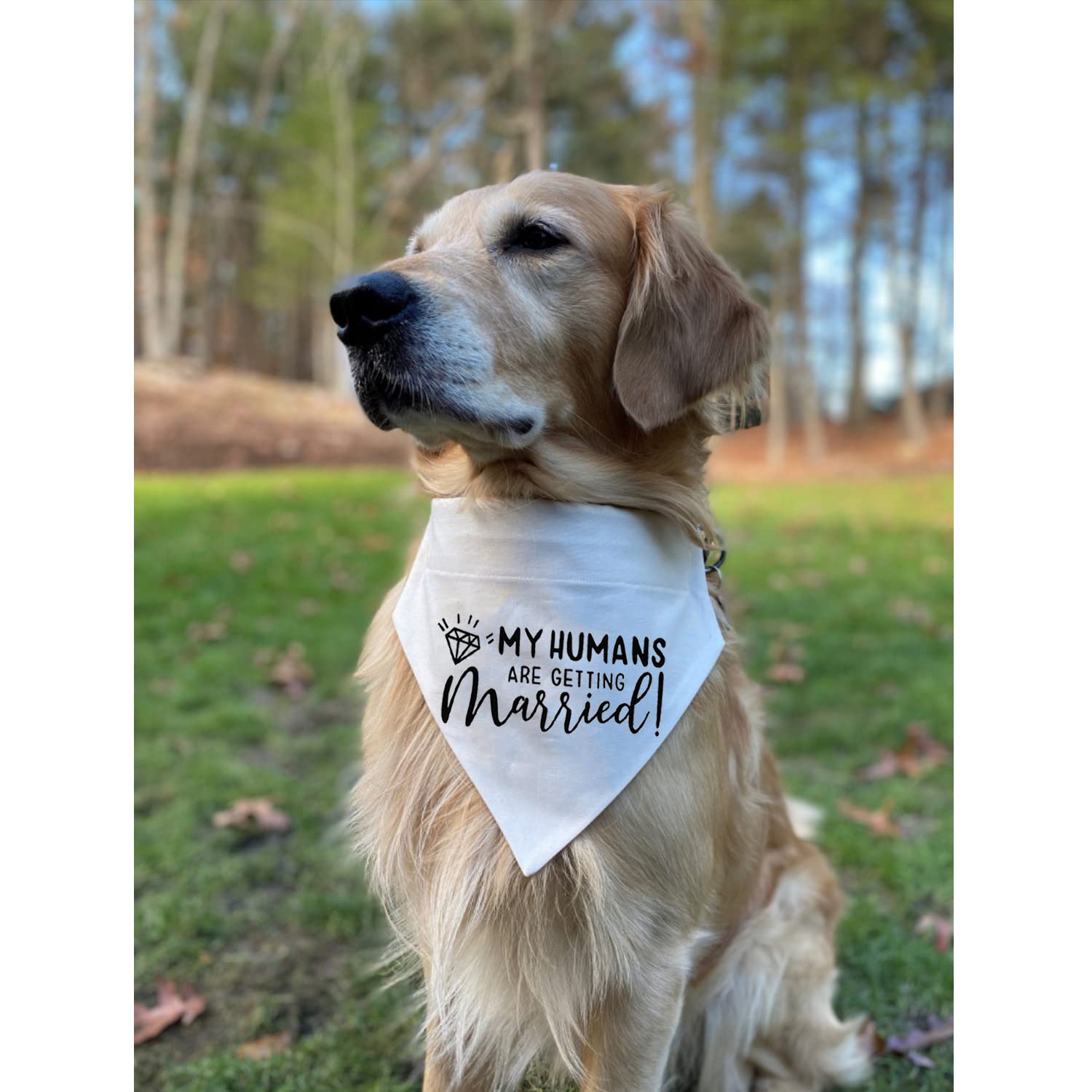 My Humans Are Getting Married Dog Bandana, Engagement Dog Bandana, Pet Scarf, Engagement Photo, Wedding Dog Bandana With Adjustable Collars For Small Medium Large Dogs Cats Pet (Medium, White)