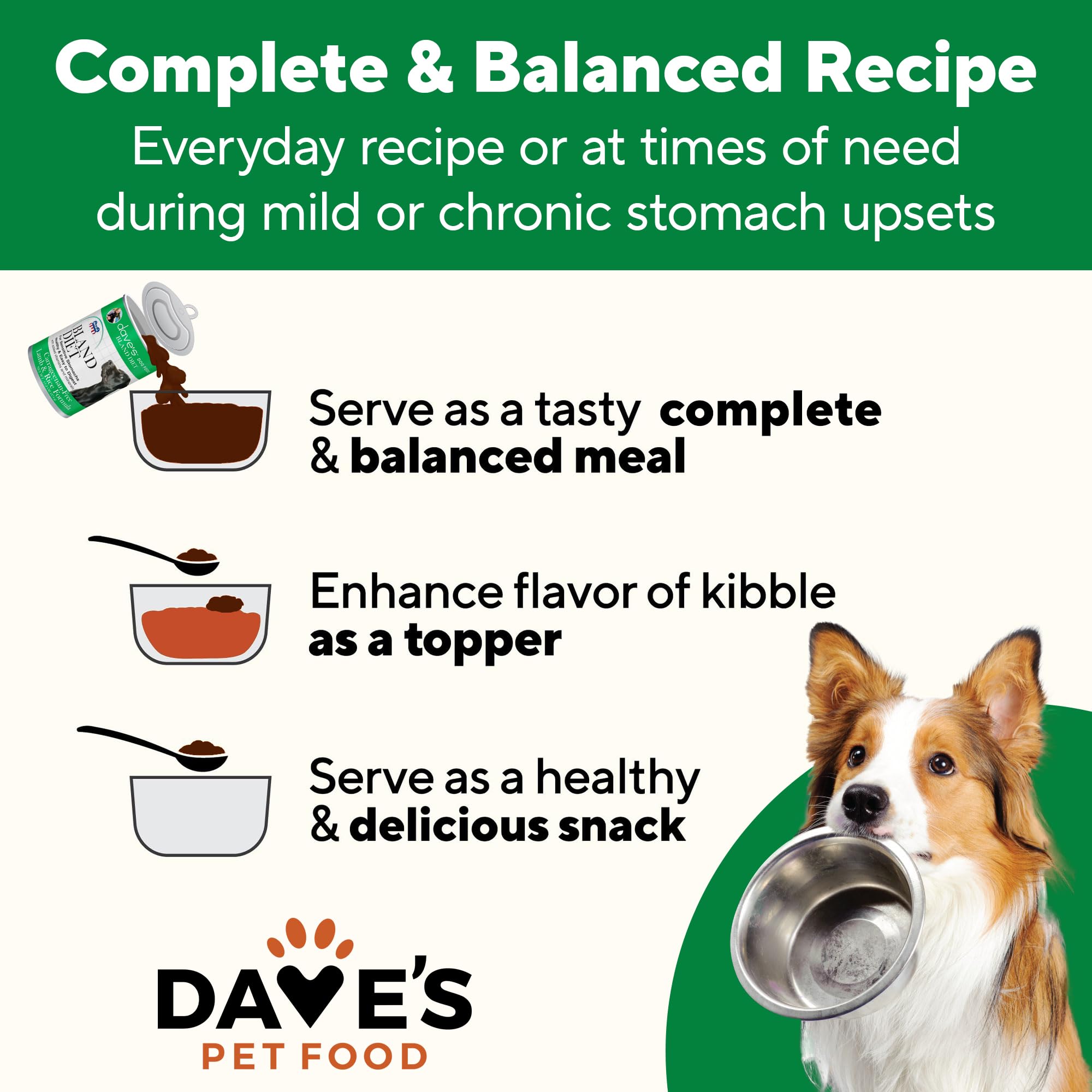 Daves Pet Food Bland Dog Food (Lamb & Rice), Canned Wet Dog Food for Sensitive Stomachs, Gluten-Free, Digestive Care, 13.2 oz (