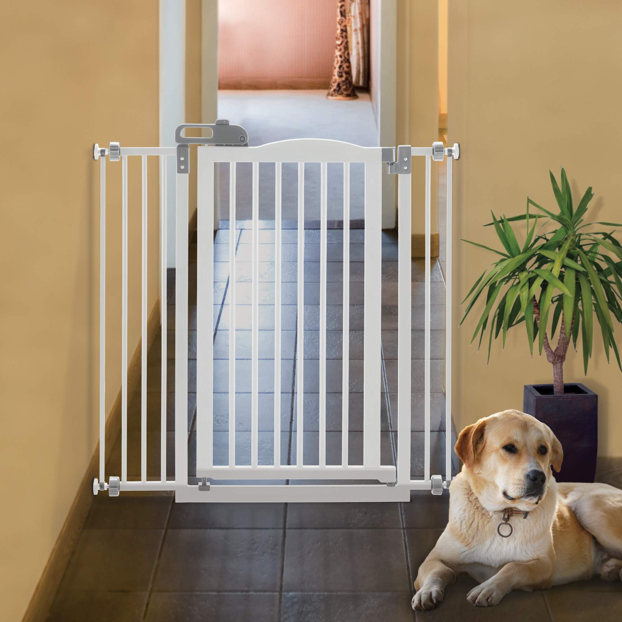 Richell Tall One-Touch Pet Gate II, Dog gate, Dog gate, 38.4" H Tall pet gate, origami white