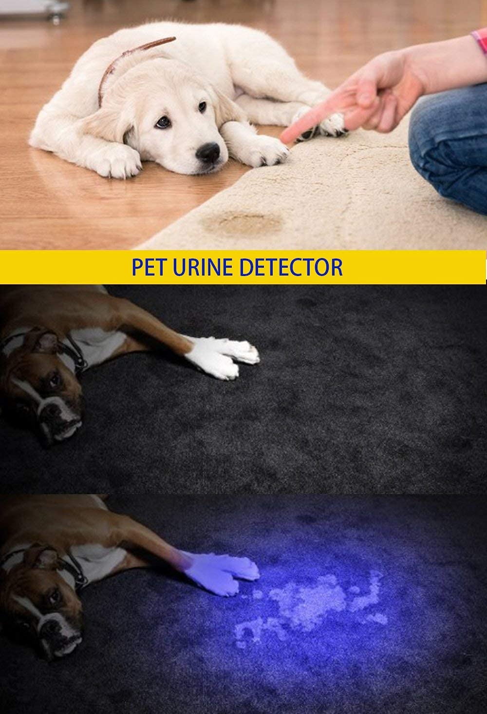 DARKBEAM UV 395nm Flashlight Ultraviolet led Light Blacklight Woods lamp Portable 400nm Mini Detector for Dog/Cat Urine Pet Sta