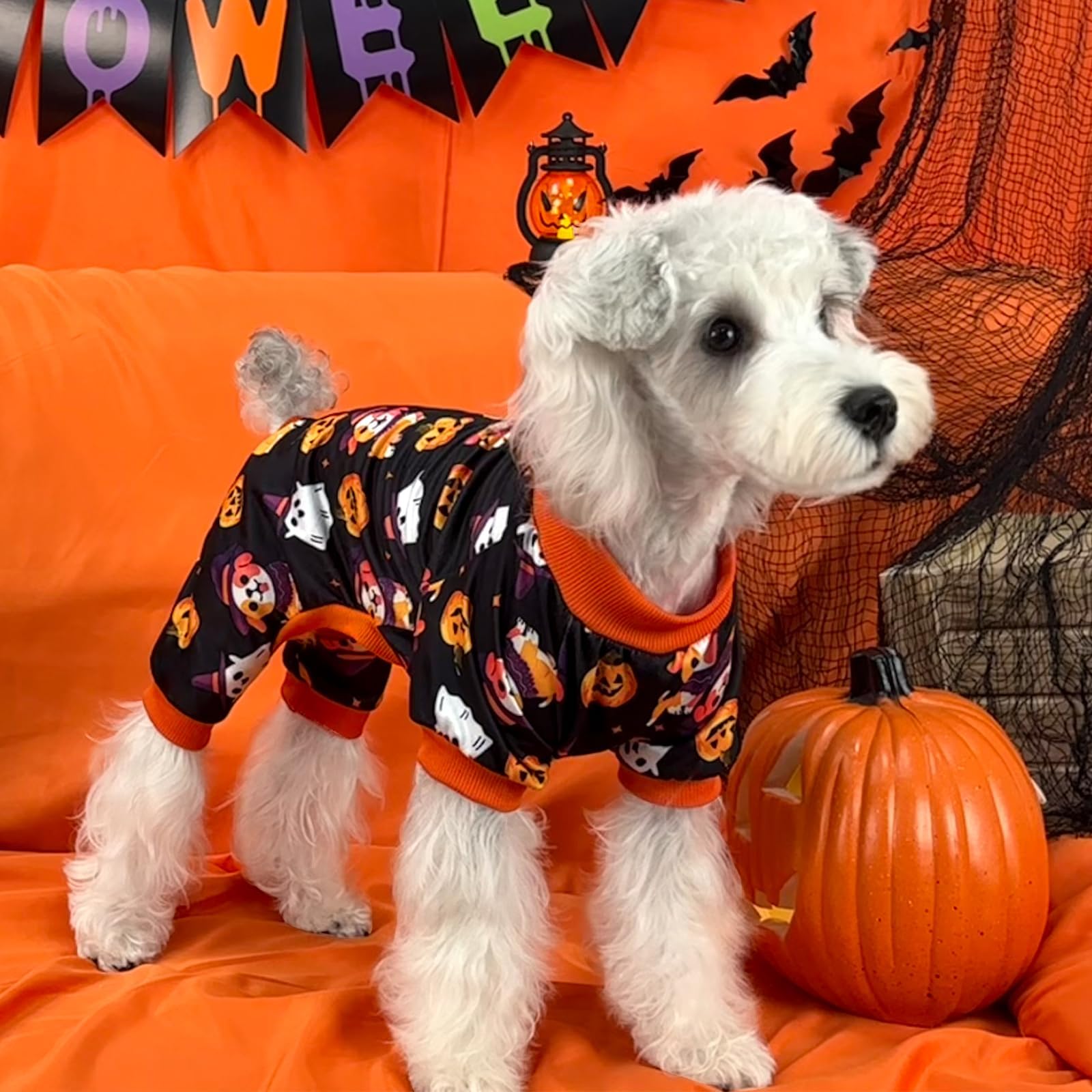 Xpudac Dog Halloween Pajamas For Small Medium Dogs Pumpkin Costume Soft Puppy Clothes Pet Outfit Doggy Jumpsuits,Medium