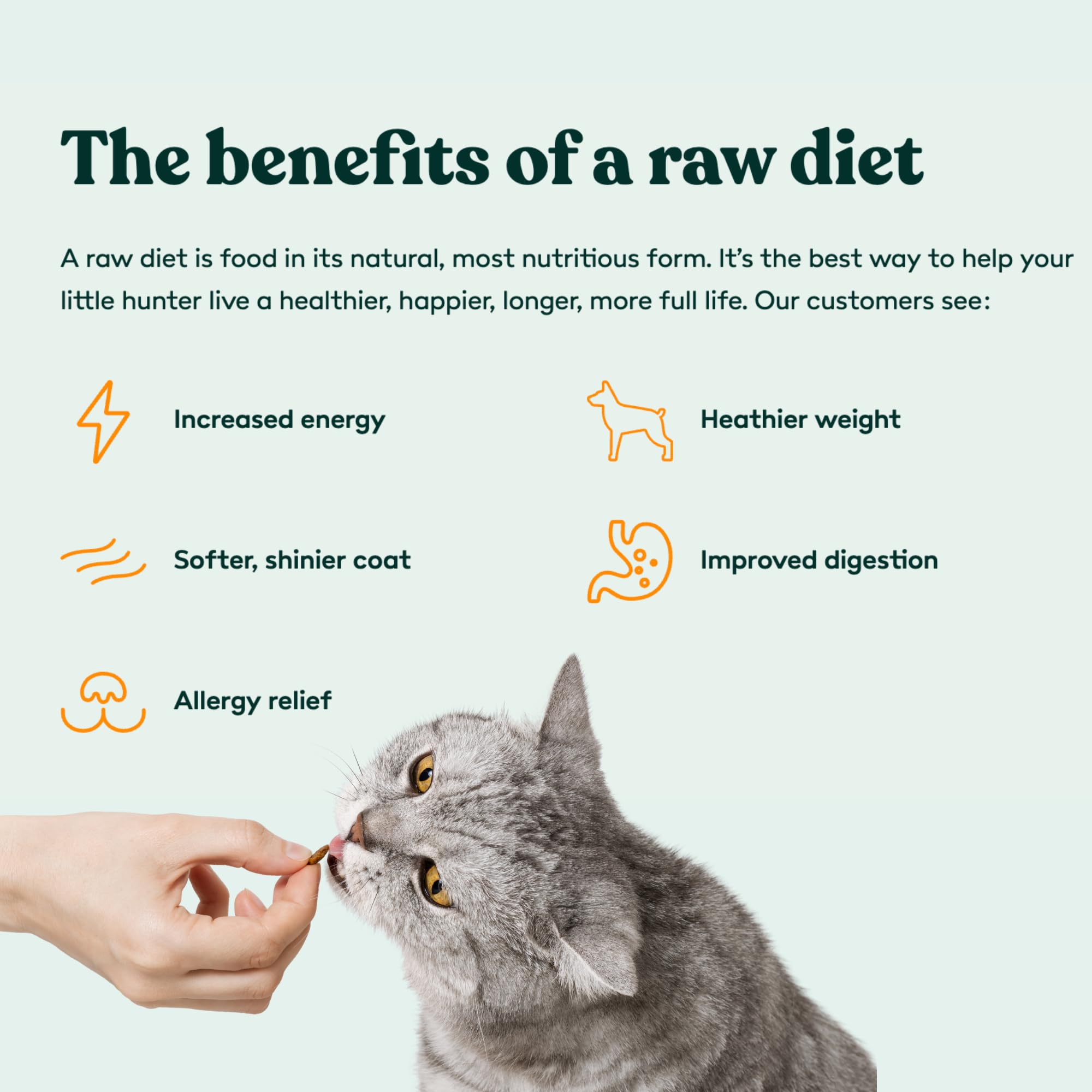Little Hunter Freeze-Dried Raw Quail Egg Yolk for Dog & Cat Treats | Single-Ingredient High Protein, High Omega-3, Grain & Glute