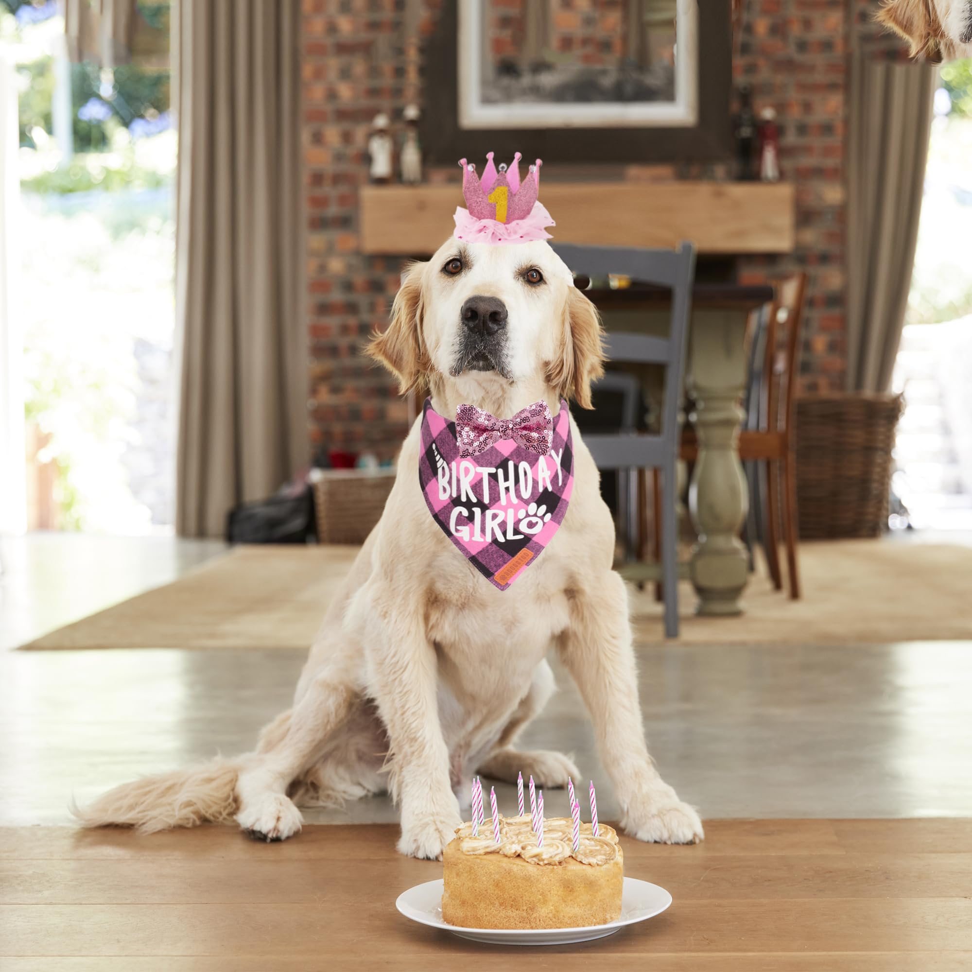 Adoggygo Dog Birthday Party Supplies, Multi Size Offered, Birthday Girl Dog Bandana, Pink Party Hat Crown With Numbers For Extra