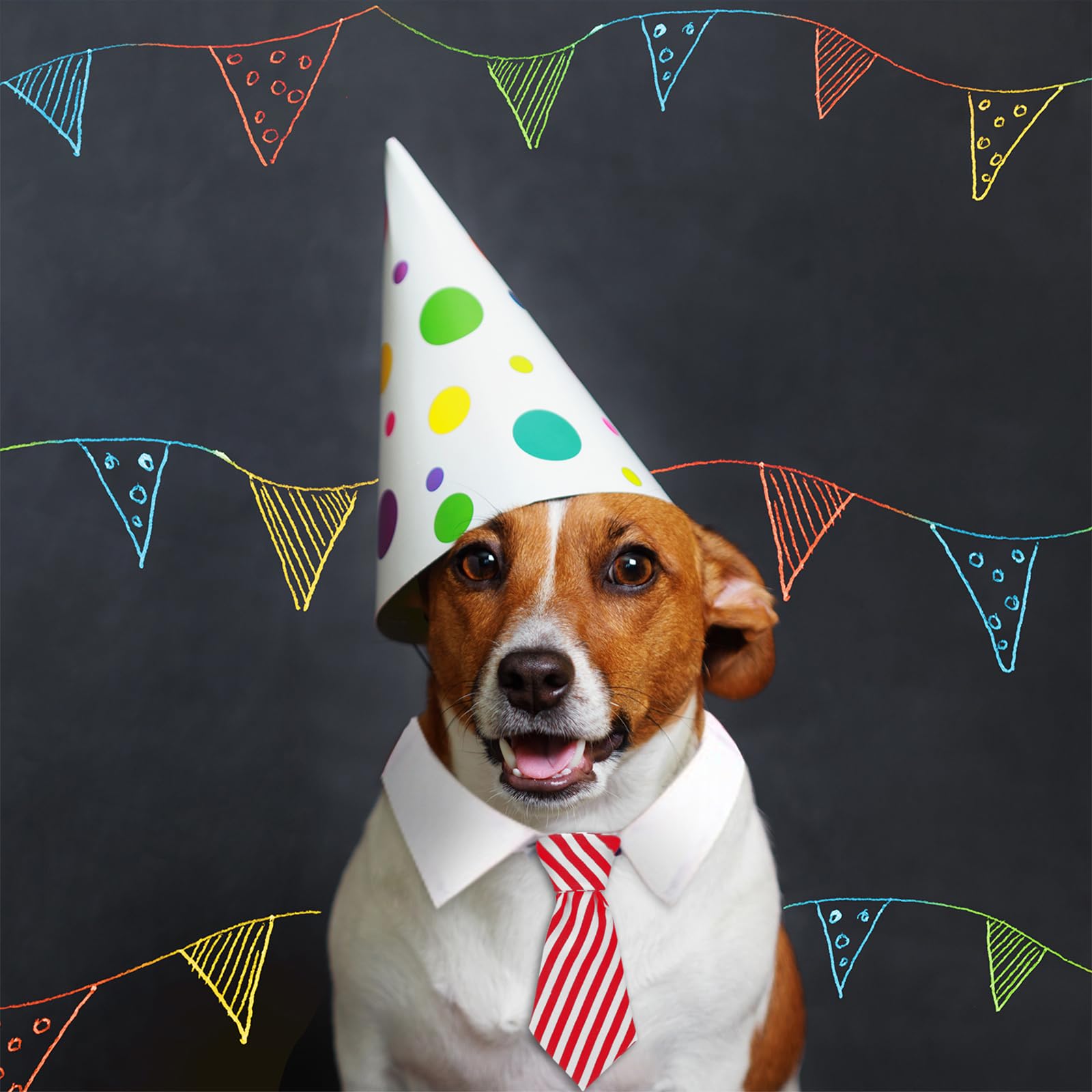 4 Pieces Pet Bow Tie Adjustable Pet Neck Tie Costume Formal Dog Collar For Small Dogs And Cats Puppy Grooming Ties Party Accessories (S, Black, Red, Red White, Black White)