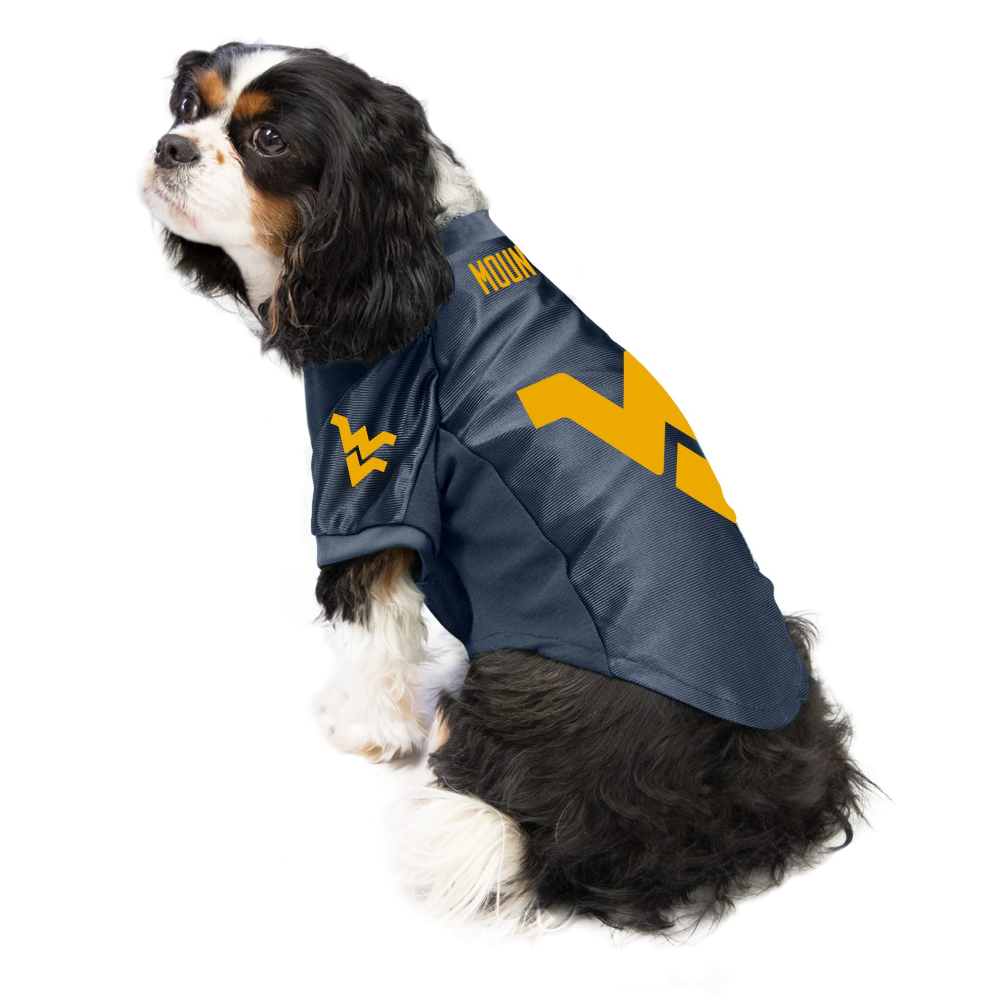 Littlearth West Virginia Mountaineers NCAA Stretch Pet Jersey