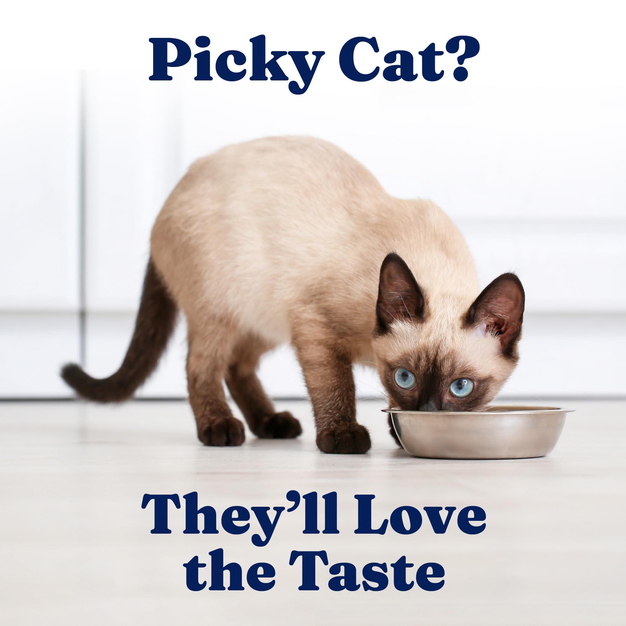 Solid Gold Dry Cat Food for Indoor Cats of All Ages - W/Lamb, Brown Rice, Barley, Probiotics & Fiber for Gut Health- Holistic &