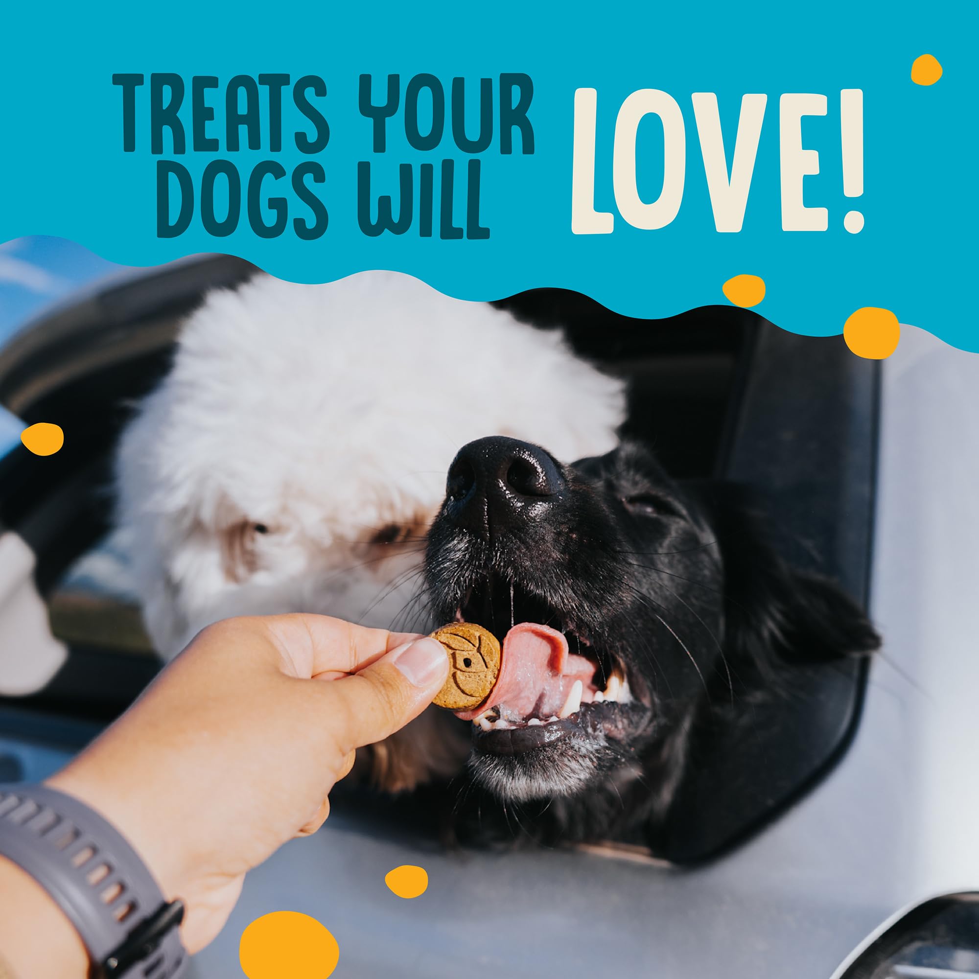 Earthborn Holistic EarthBites Crunchy Grain-Free Dog Treats with Salmon 2 lb