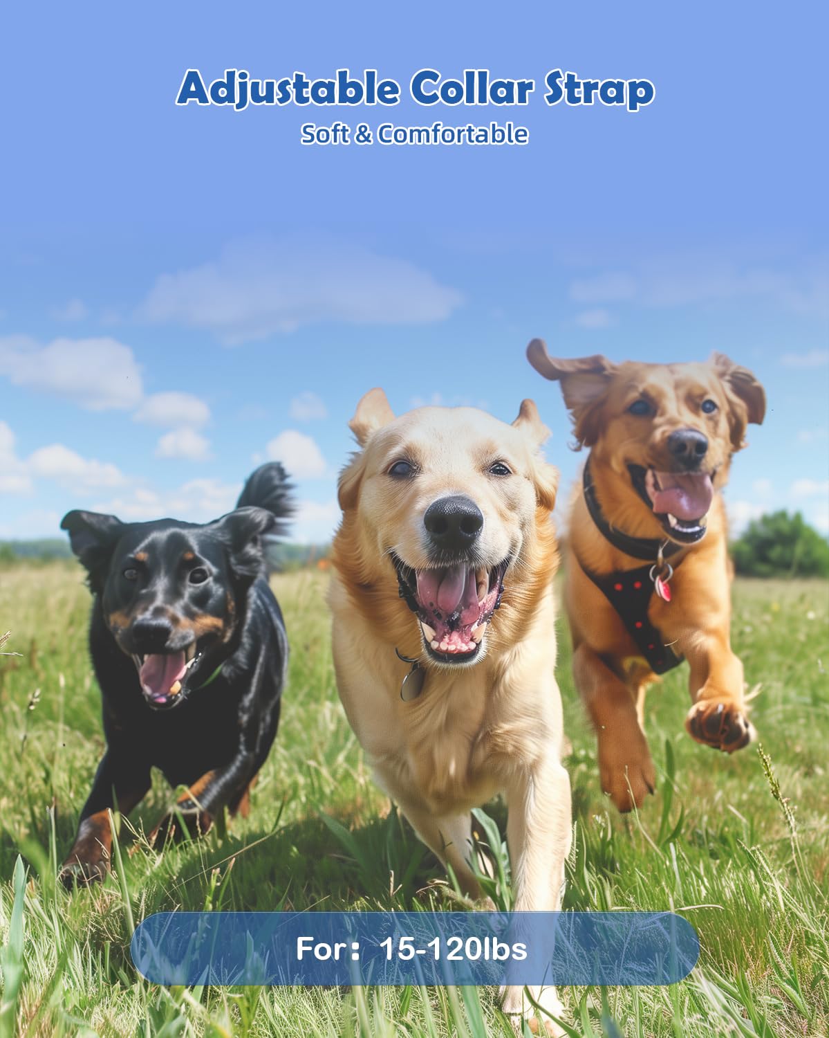 PATPET Shock Collar for Large Dog - Rechargeable Dog Training Collar with Remote for Medium Large Dogs 1000Ft Remote Range 3 Tra